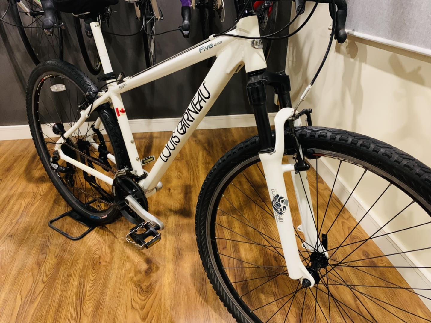 🚴LOUIS GARNEAU FIVE29