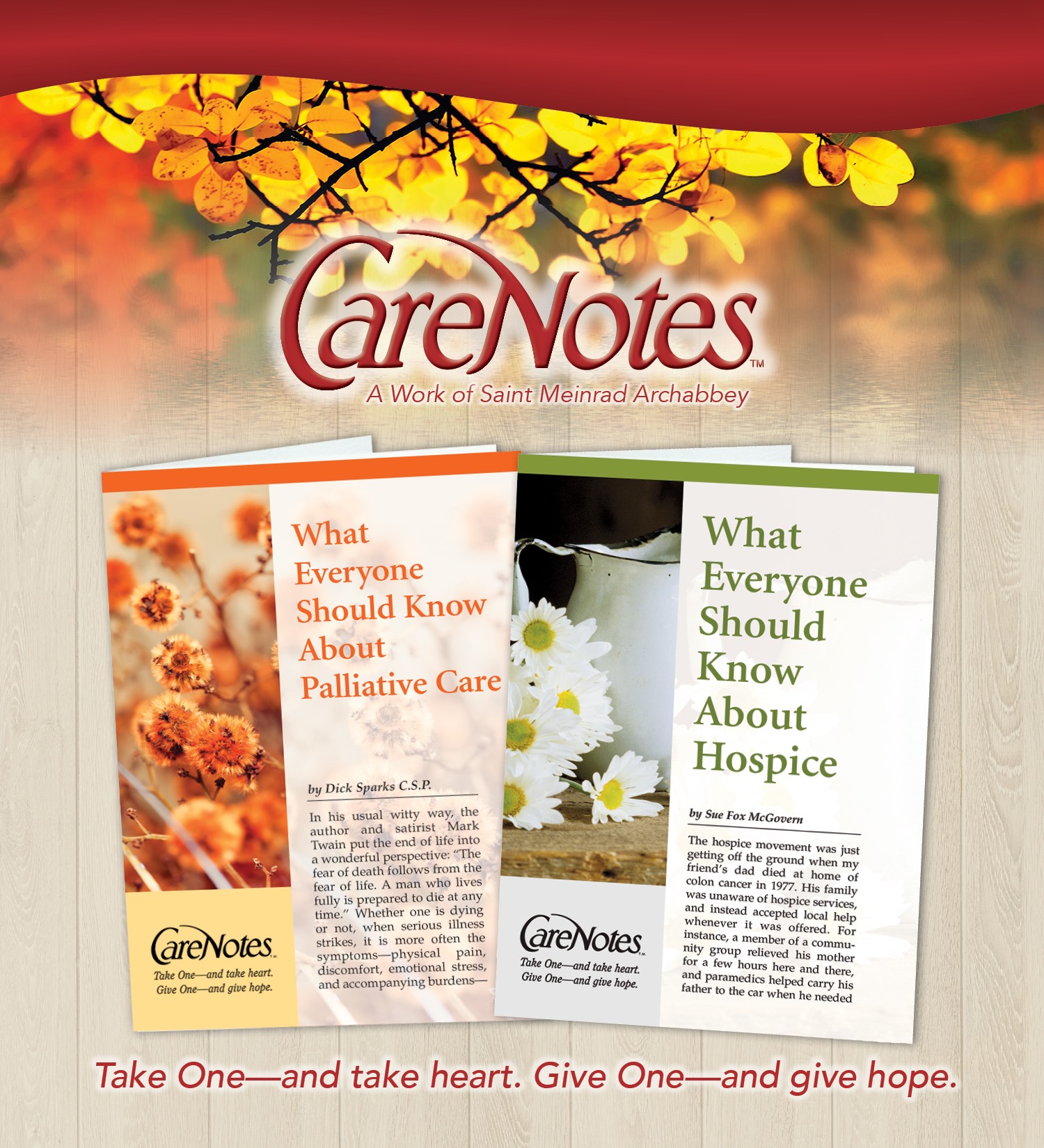 CareNotes - National Hospice and Palliative Care month is...