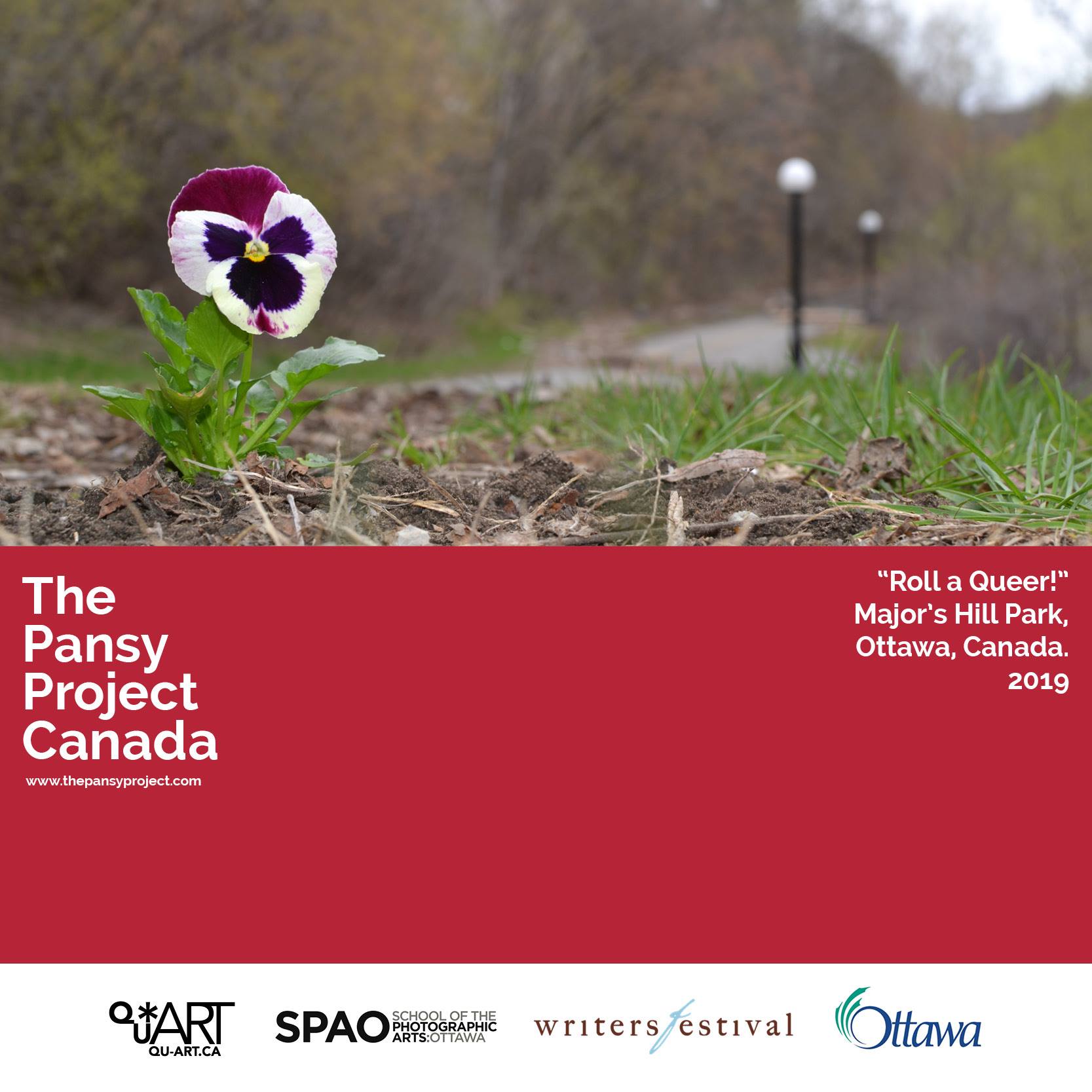 The Pansy Project added a new photo —... - The Pansy Project