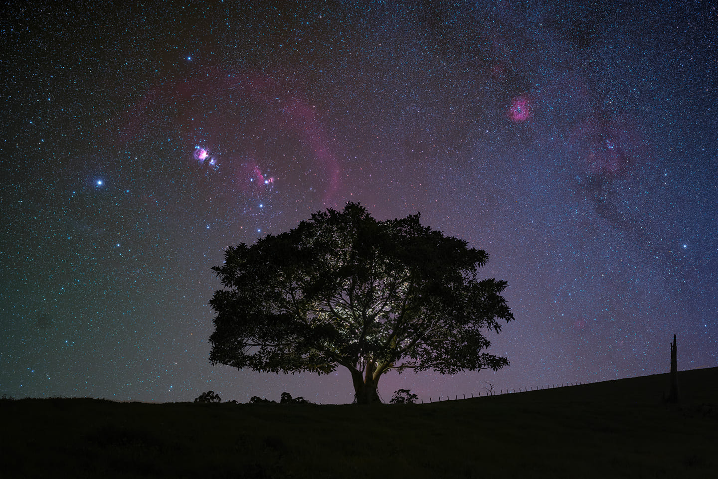 John Rutter photography