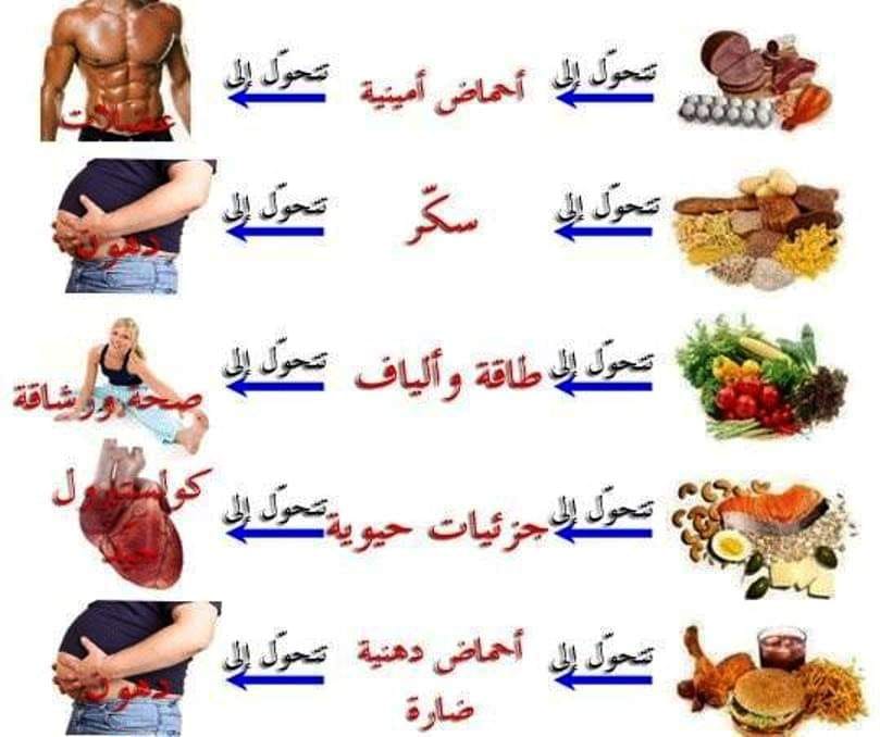 تجمع أهل طرابلس حمية الكيتو رجيم الكيتو أو كيتو دايت Keto Diet النظام الكتواني كيتوجانيك كل هذه الأسماء تدور حول نظام غذائي بدأ كعلاج لمرضى الصرع عام 1920 للحد من