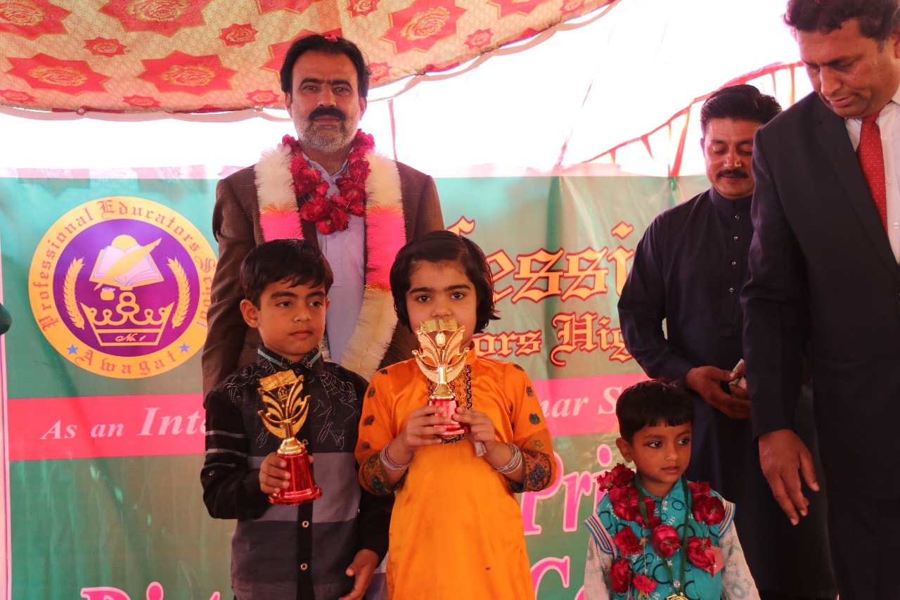 Professional Educators School And College Awagat | Faisalabad