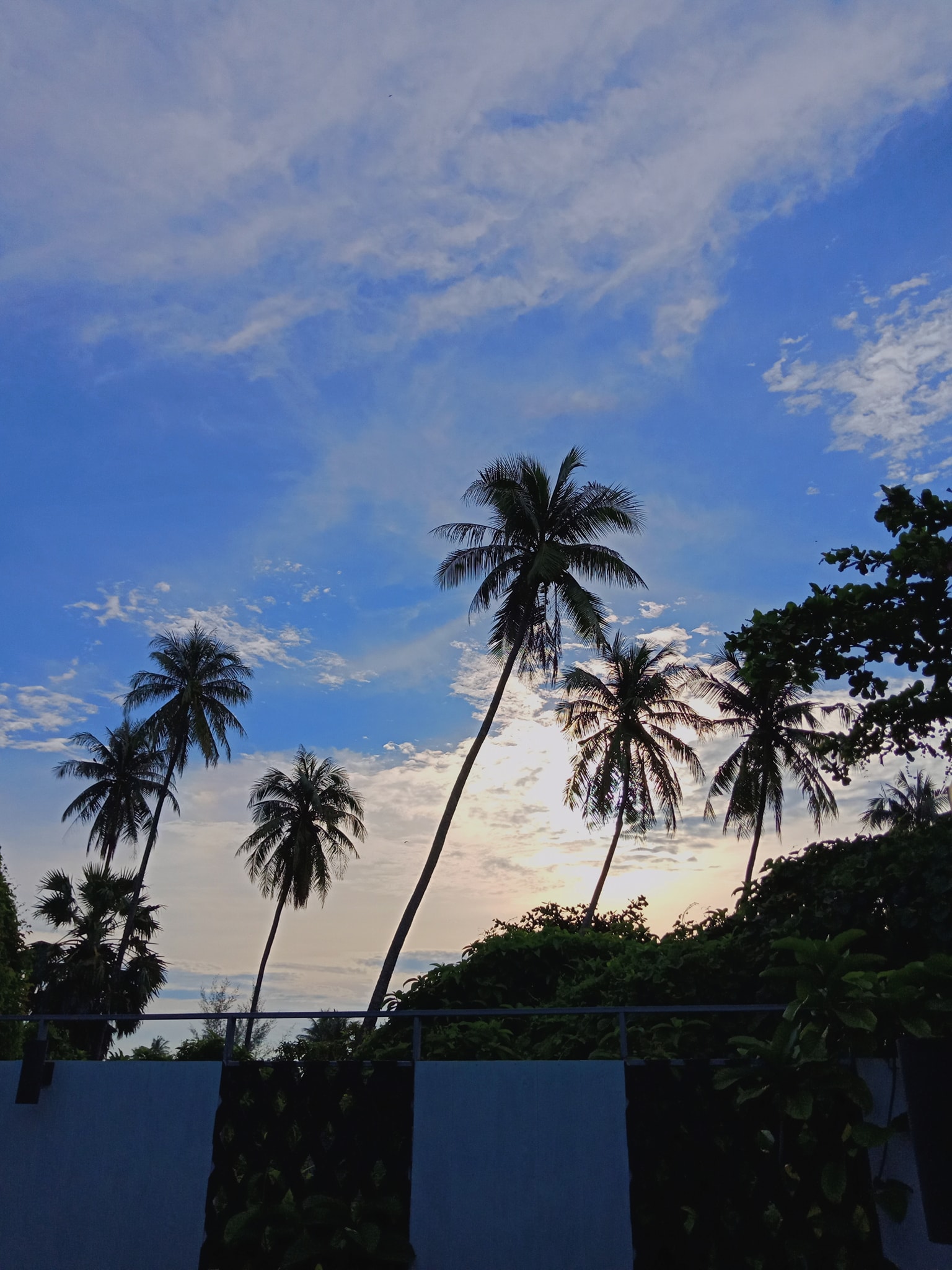 Pakapon Phannawat
