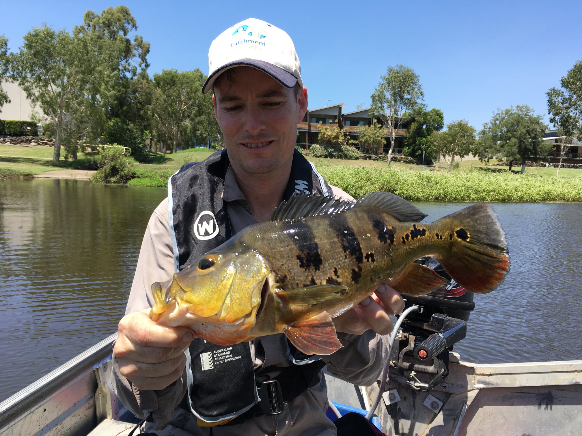 The... - Mackay Area Fish Stocking Association Inc. (MAFSA)