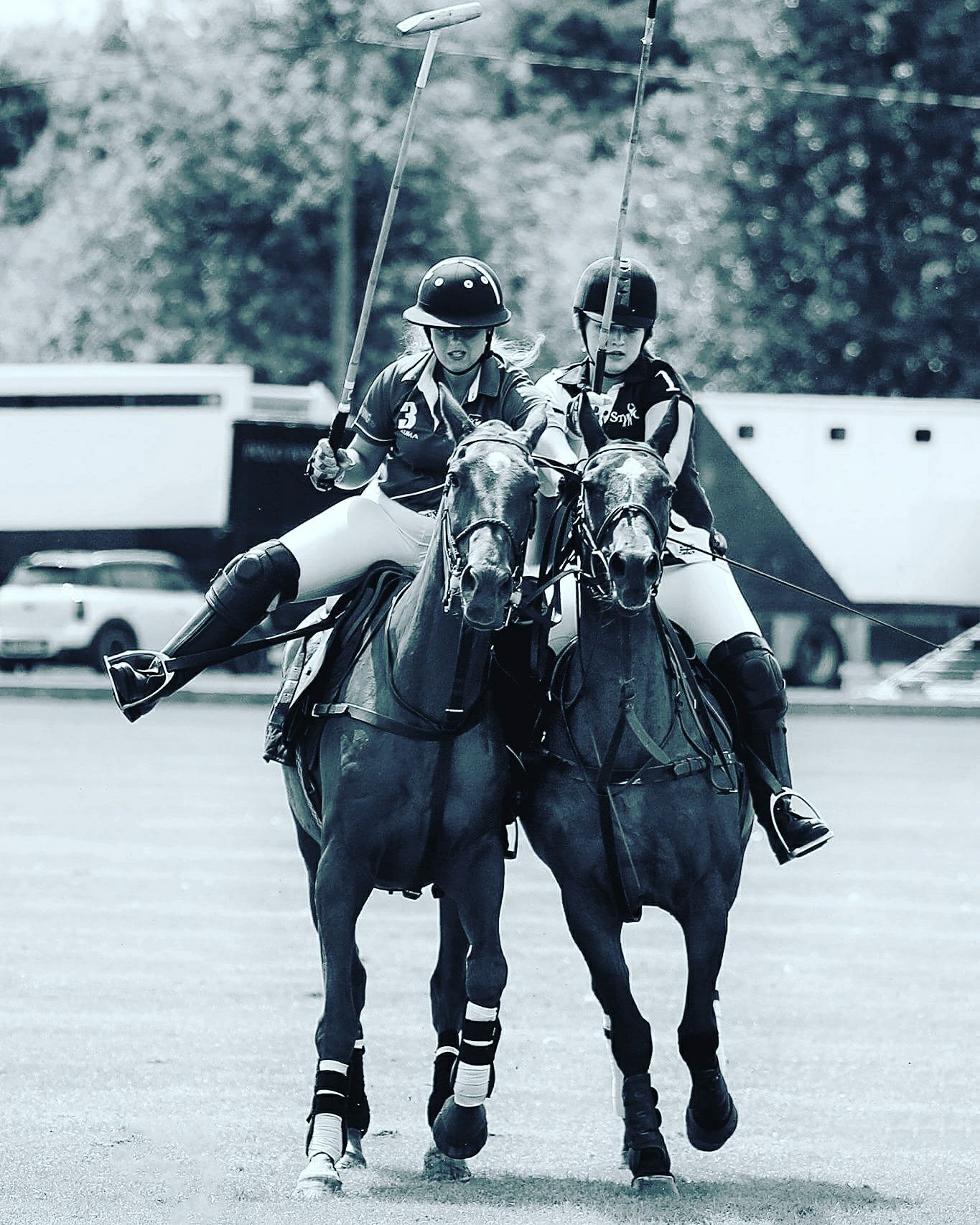 Liverpool University Riding and Polo Club