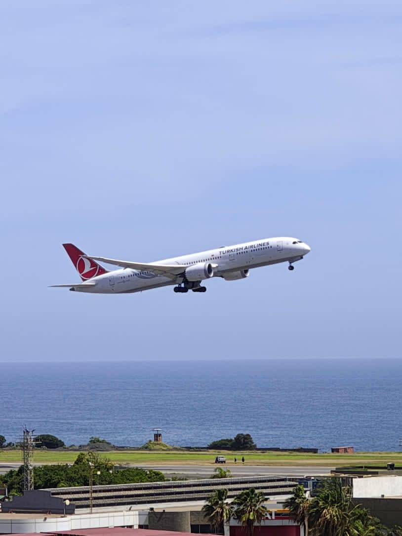 茶 toyoS Boeing 787 Dreamliner de Turkish Airlines en el aeropuerto