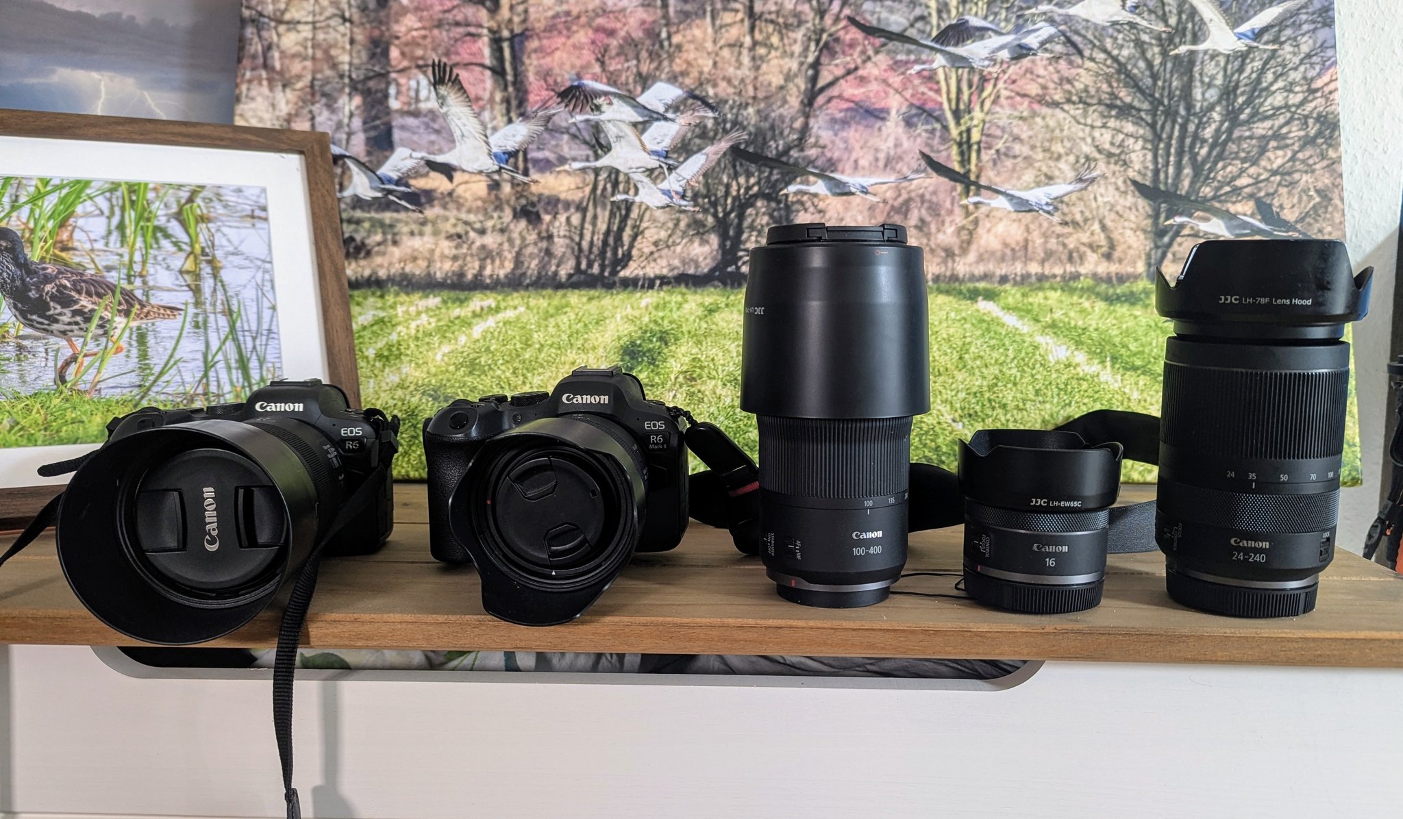 Will RF 50mm, 35mm, and 85mm lenses work with Canon R6 Mark 2?