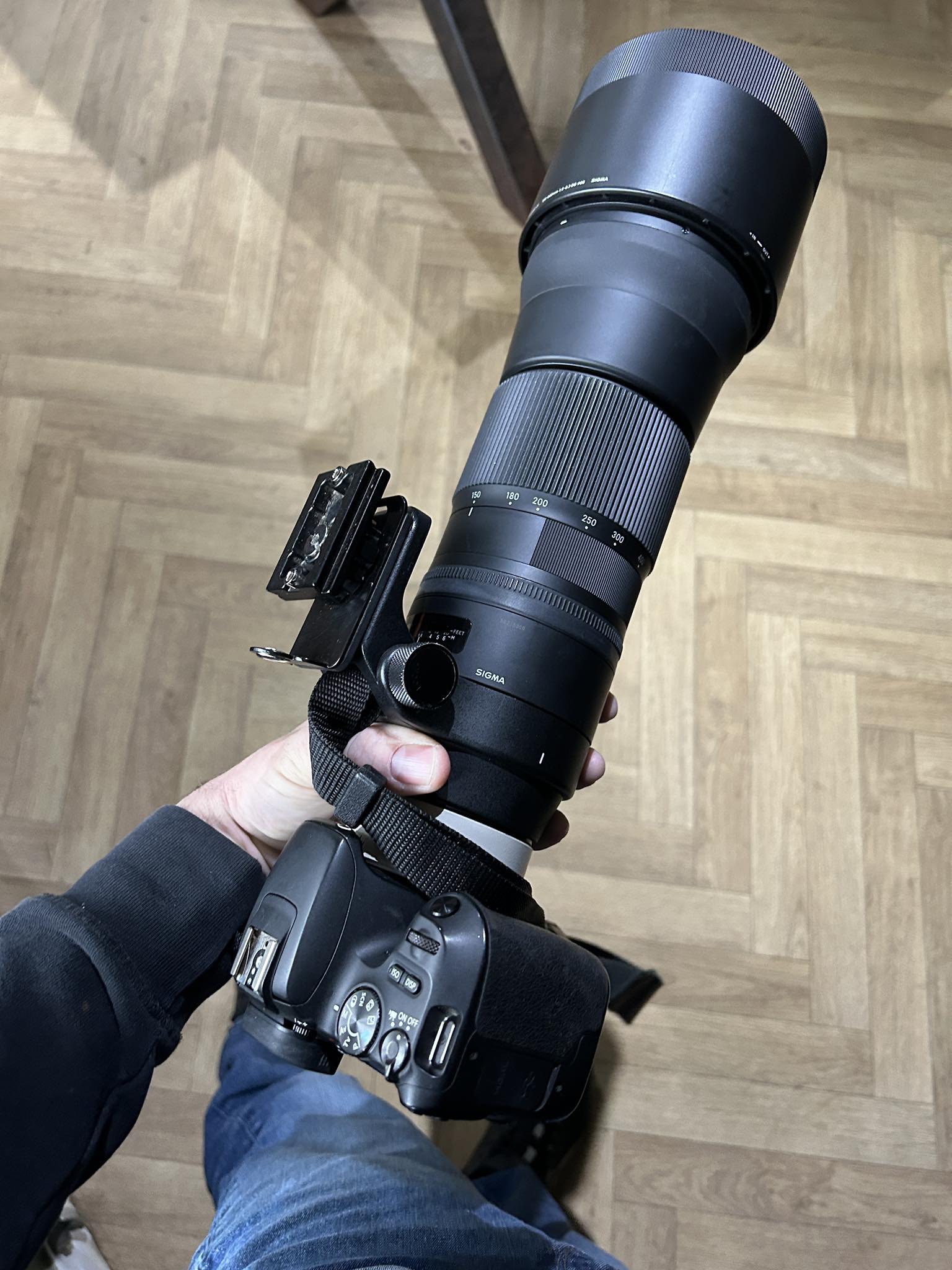 Using Sigma 150-600 lens with Canon R7 and EF to RF adapter