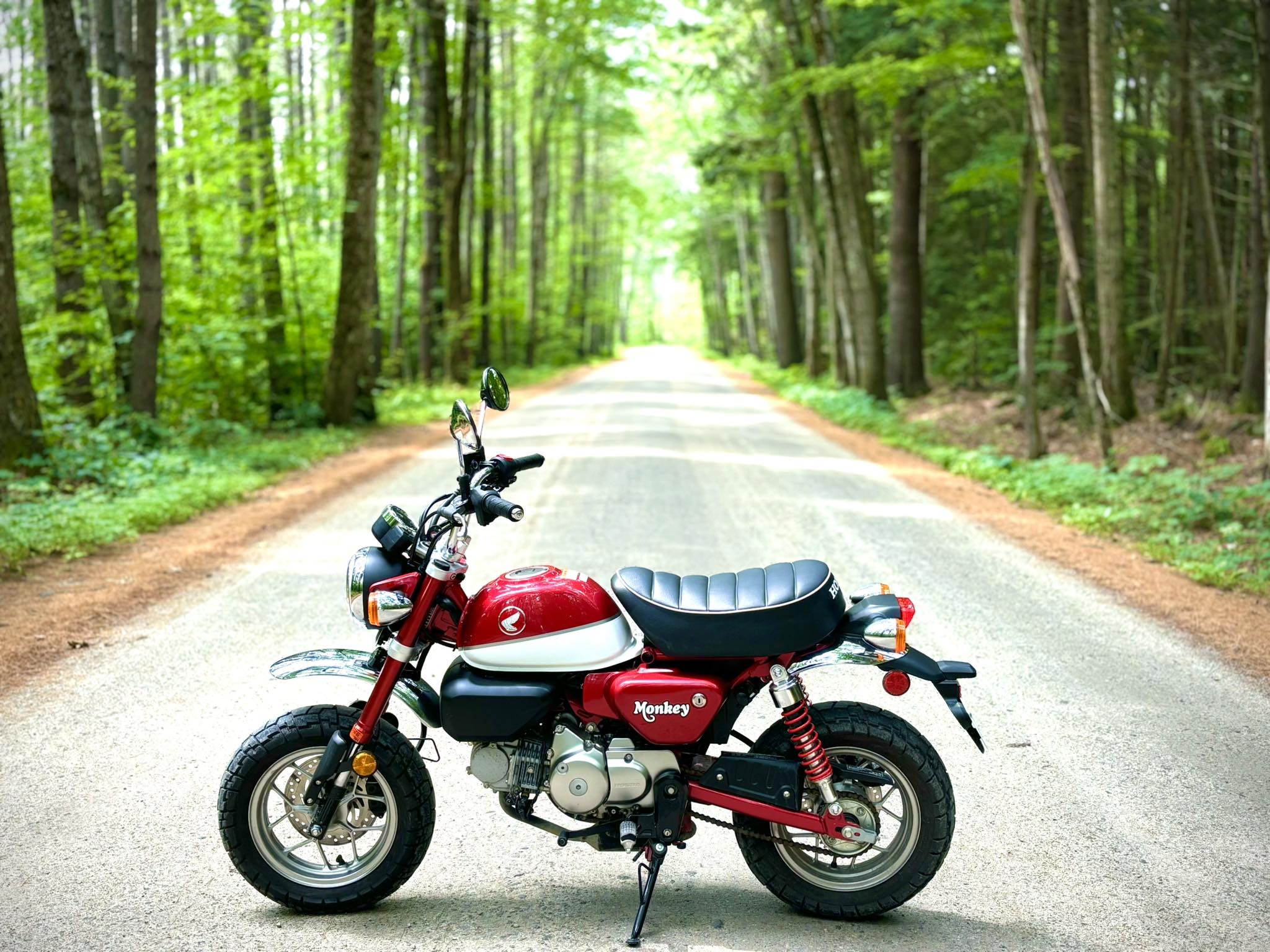 What bike to buy for back roads riding after 15 years off