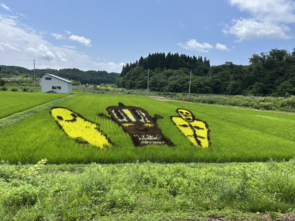 鷹巣から角館 これからの時期の秋田内陸縦貫鉄道の 田んぼアートは