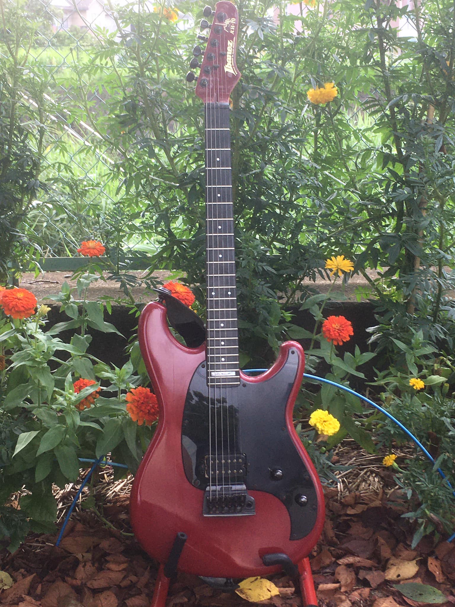 What makes Ibanez WH10 special?