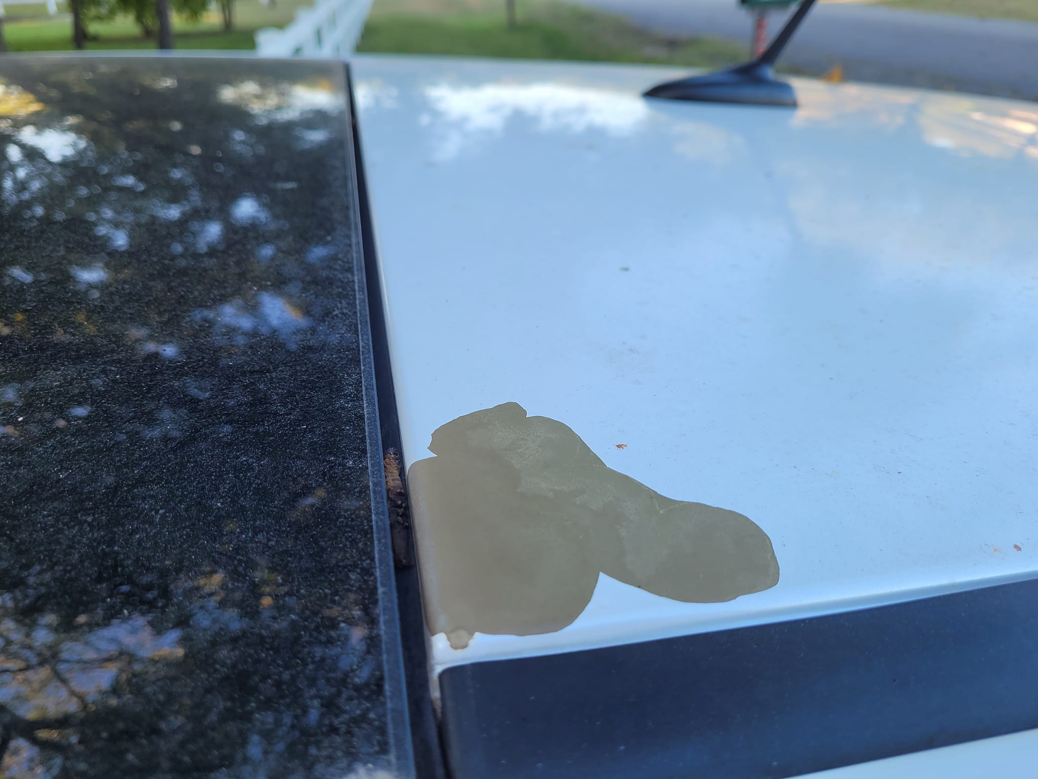 Why is the paint on my 2015 Toyota Venza suddenly peeling off?