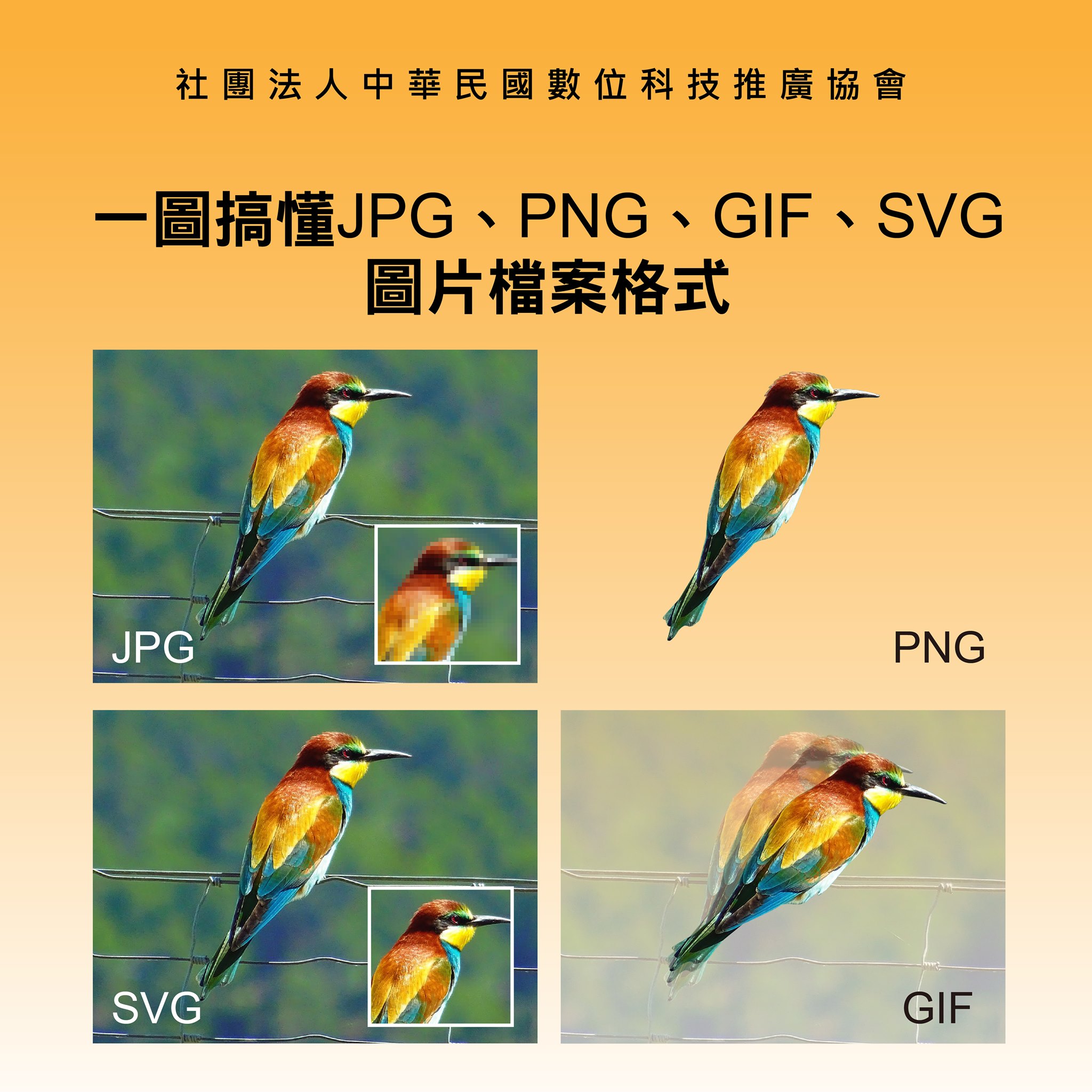 社團法人中華民國數位科技推廣協會 - 一圖搞懂JPG、PNG、GIF、SVG圖片檔案格式使用時機 如果本身就是從事設計相關行業，大概也多少能夠 ...