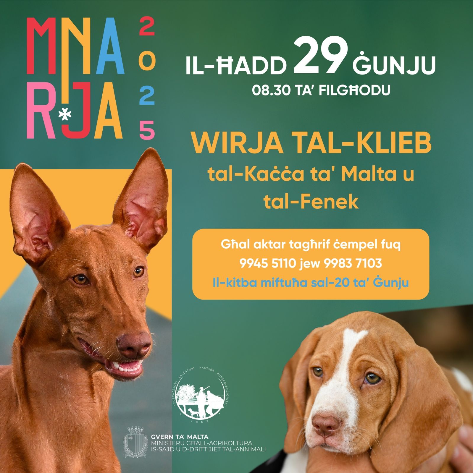 Klabb Klieb tal-Kaċċa ta' Malta | Regghet waslet sena ohra fejn nistaw ...