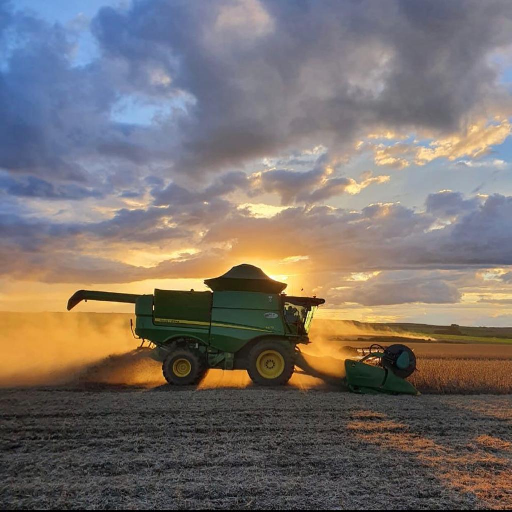 Labuta Rural - Entardecer na labuta... 🌅 @hertavelke 📸... | Facebook