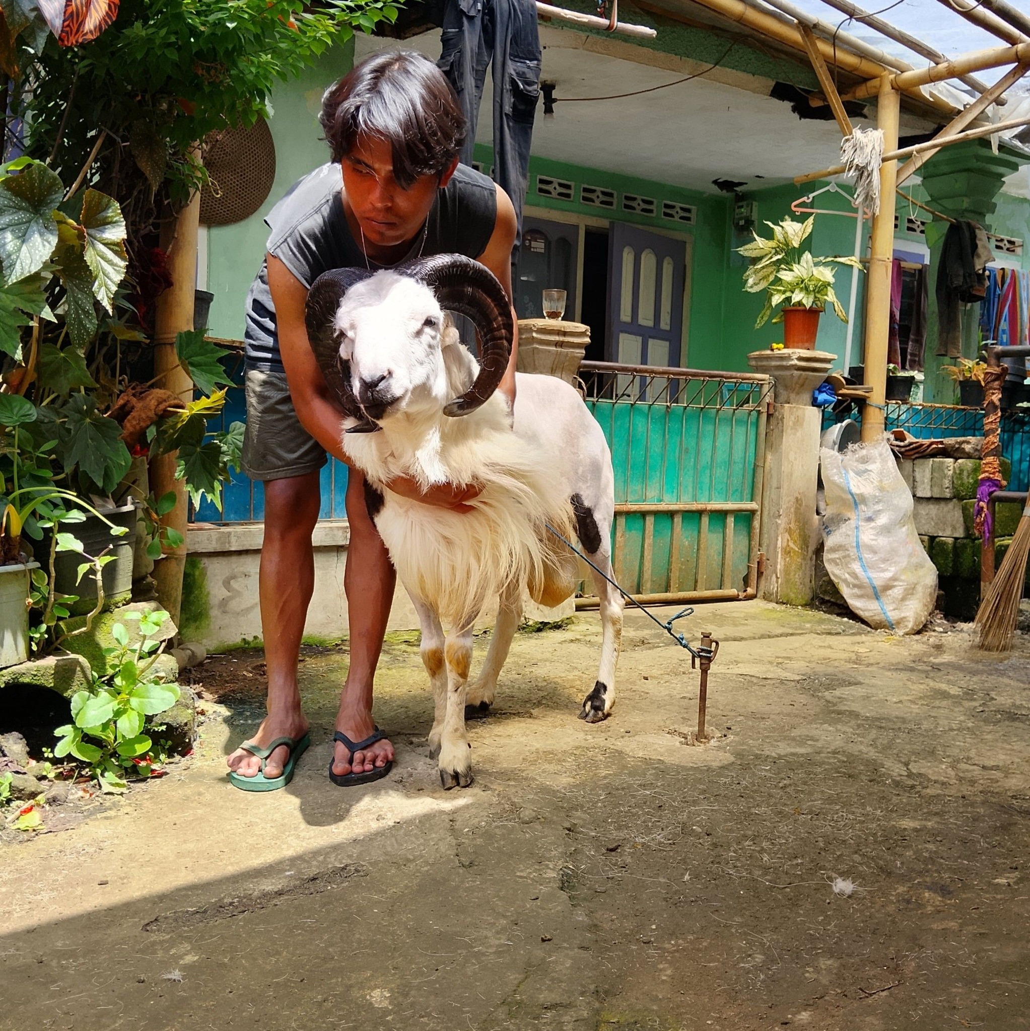 Skin becomes radiant 🩷 #cukurdomba #Satisfying #maintenance #sheep ...