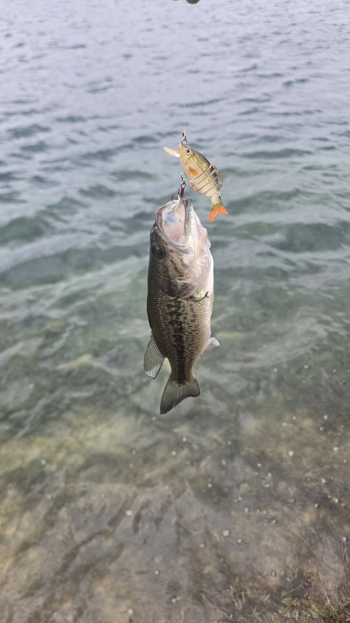 cork fishing net float FREE Slider MaiTai Rod Storage Bunnings Fishing Color:BB01-Lure-301309 Approximately 6 x 4.5