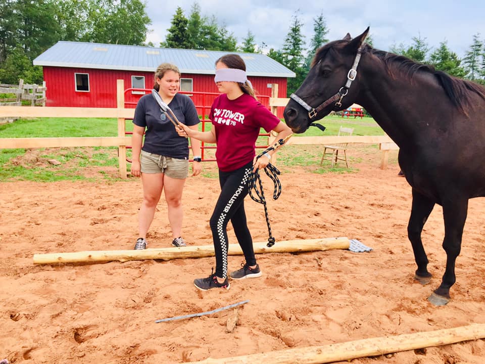 Equine Assisted Learning (EAL) where... - Grand River Ranch