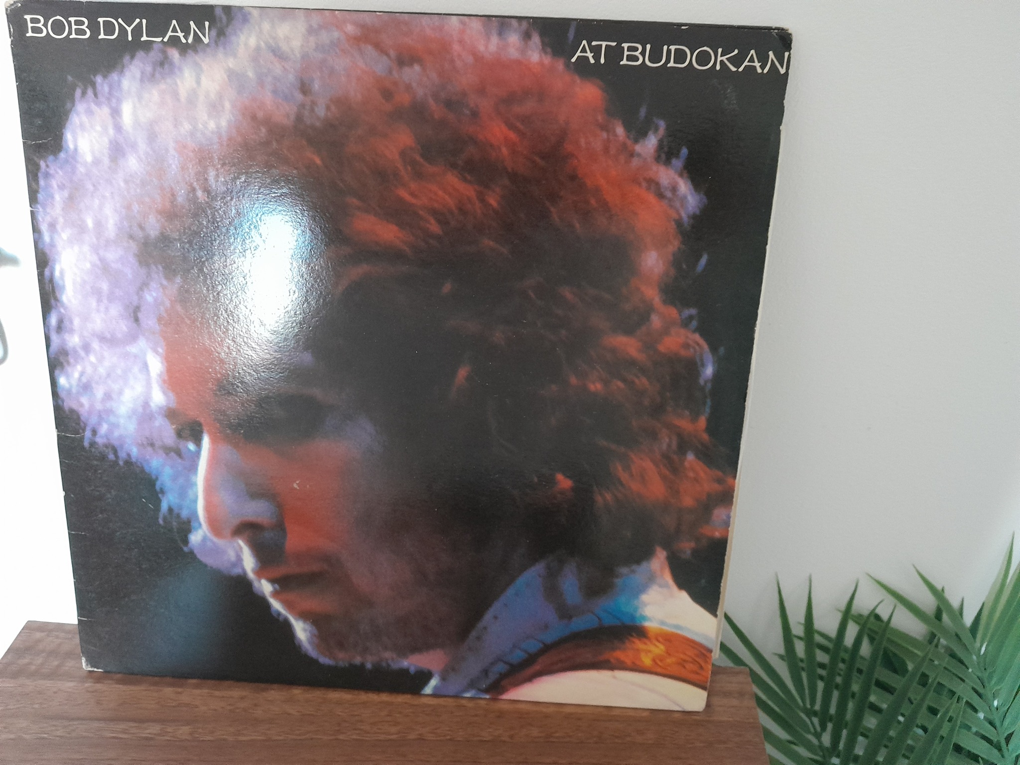 Recorded: Feb 15, 2002 'LIVE AT BUDOKAN'