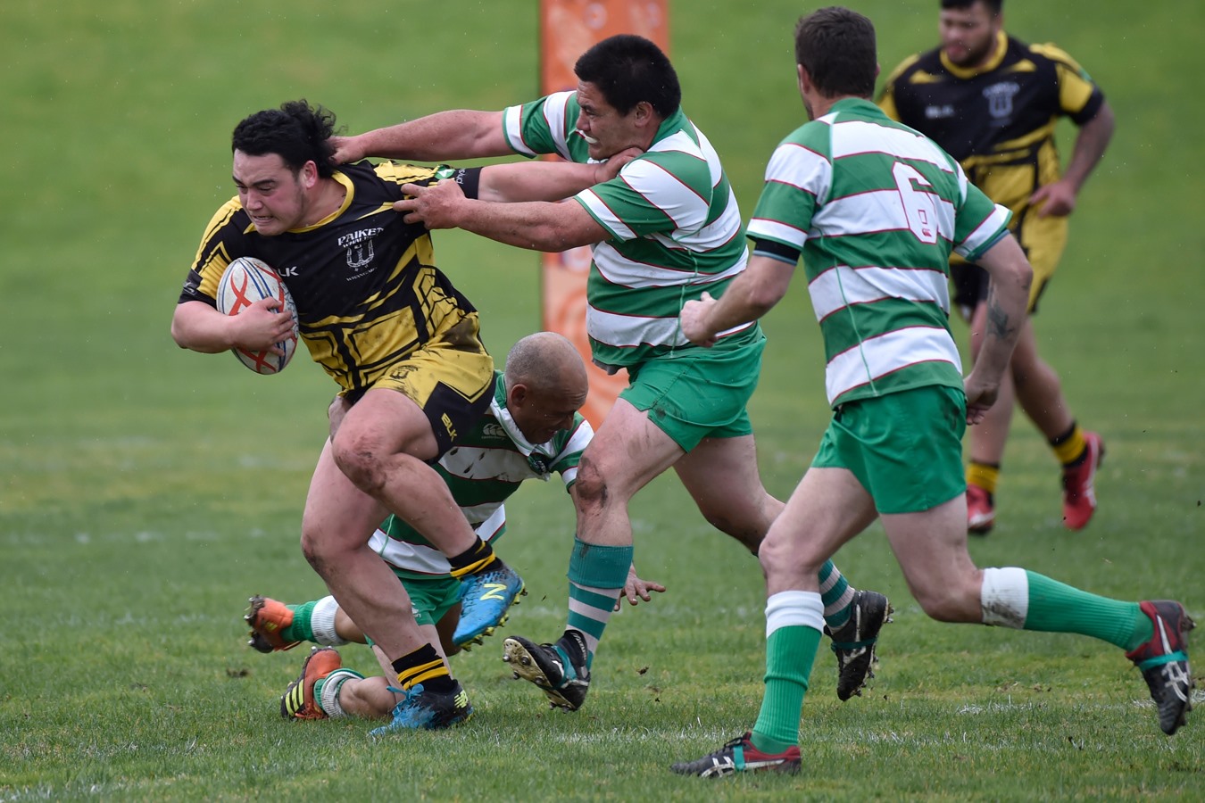 Gisborne Tairawhiti Rugby League | Gisborne