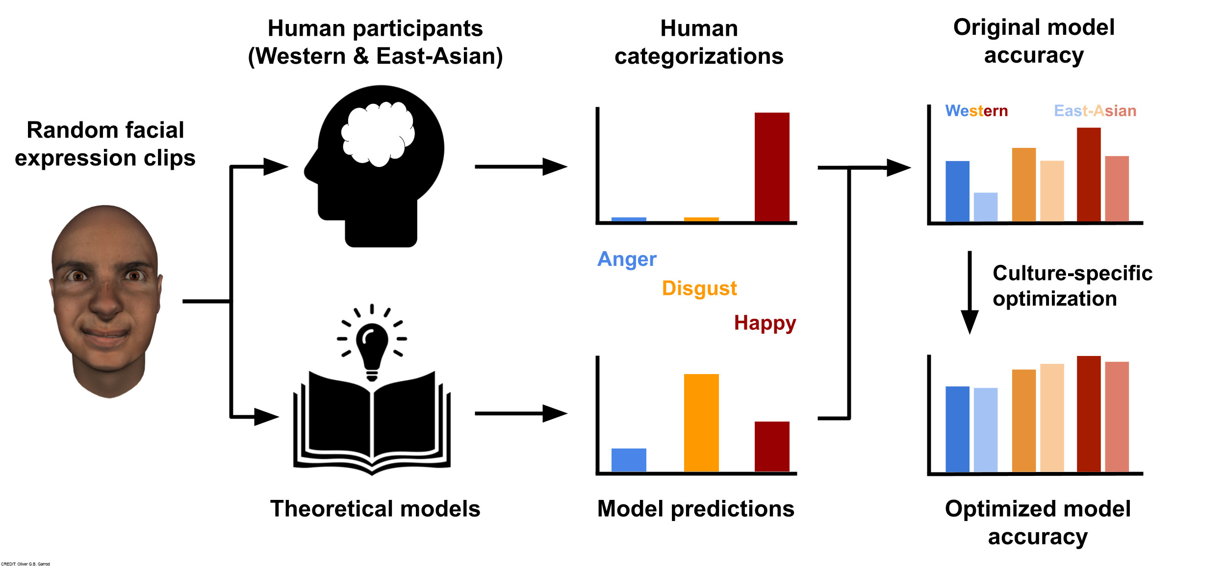 A new framework to model facial... - Science Advances