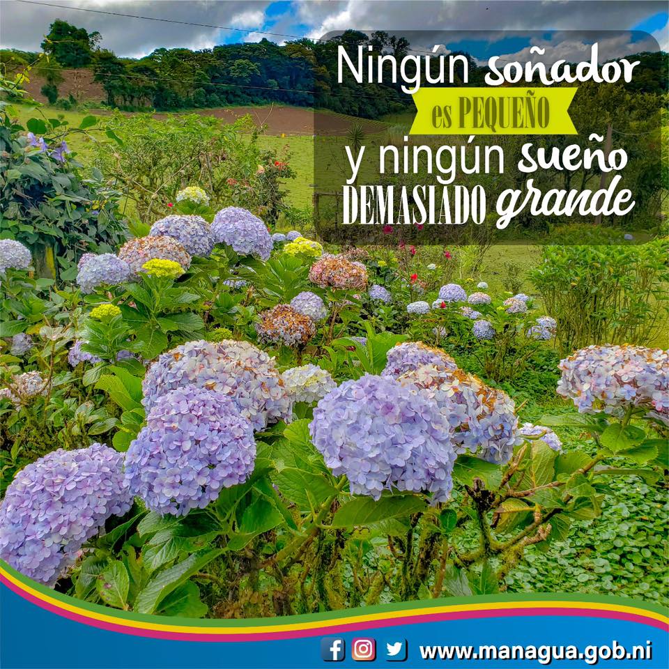 Levántate cada mañana creyendo que... - Alcaldía de Managua | Facebook