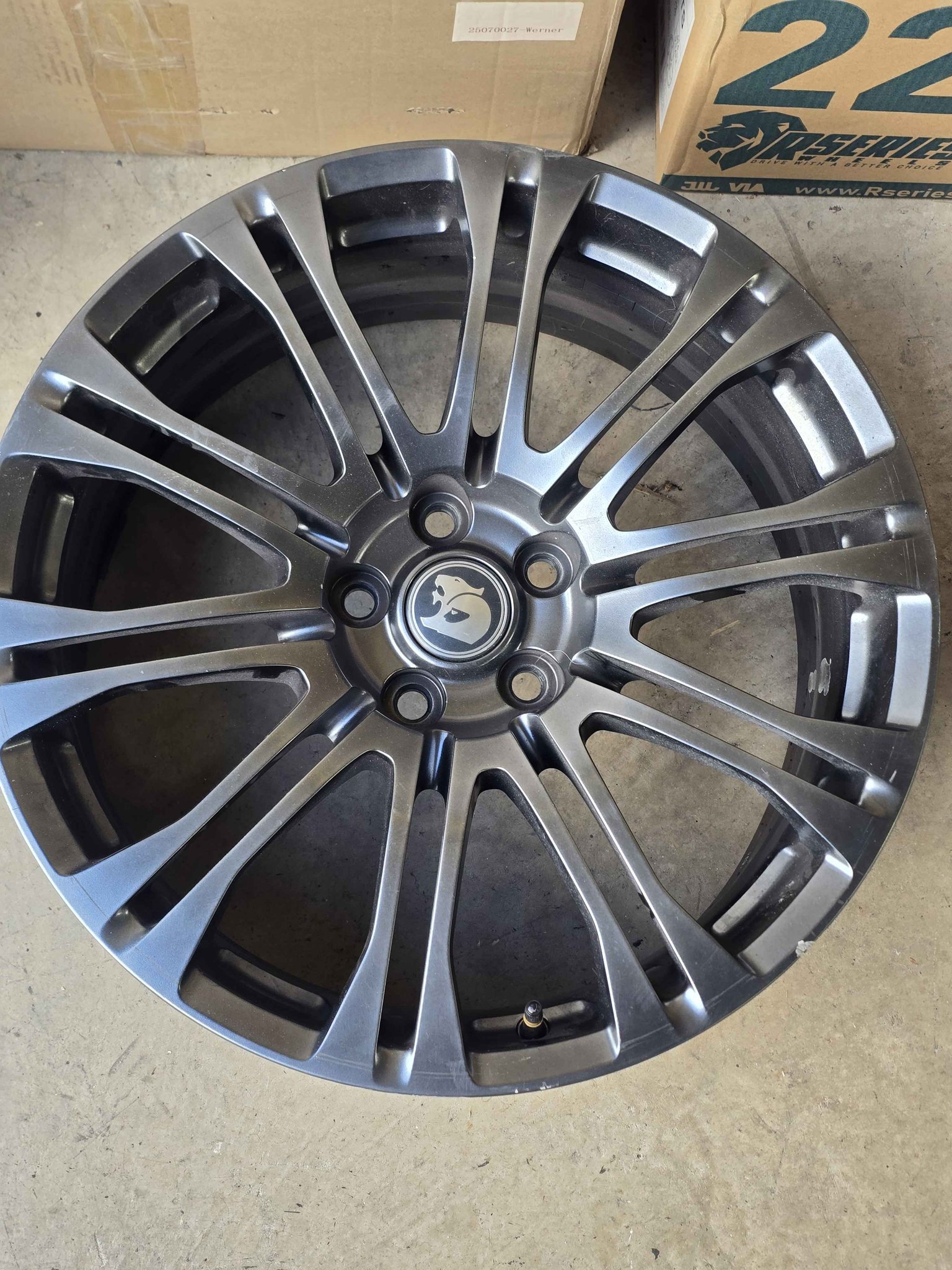 Genuine VF Senator Staggered 20