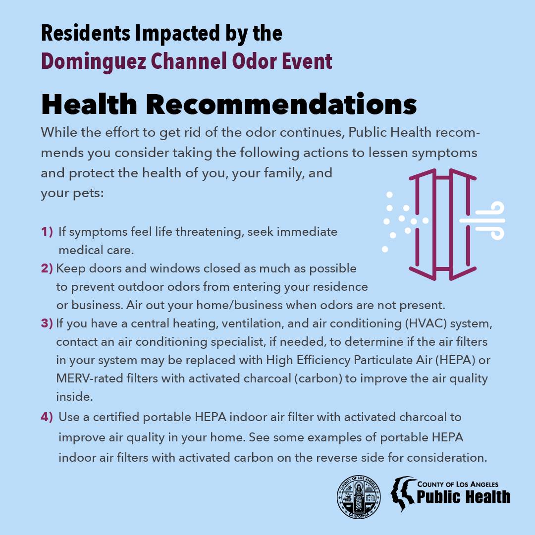 The Los... - Los Angeles County Department of Public Health | Facebook