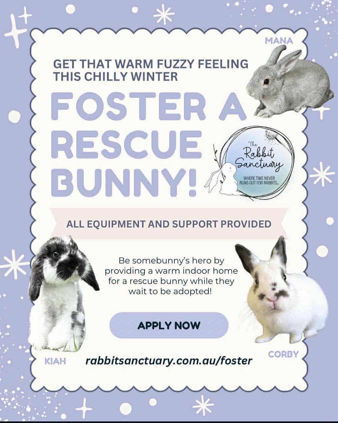 Rehoming Pets Mid-North Coast | Help us help them, become a valued ...