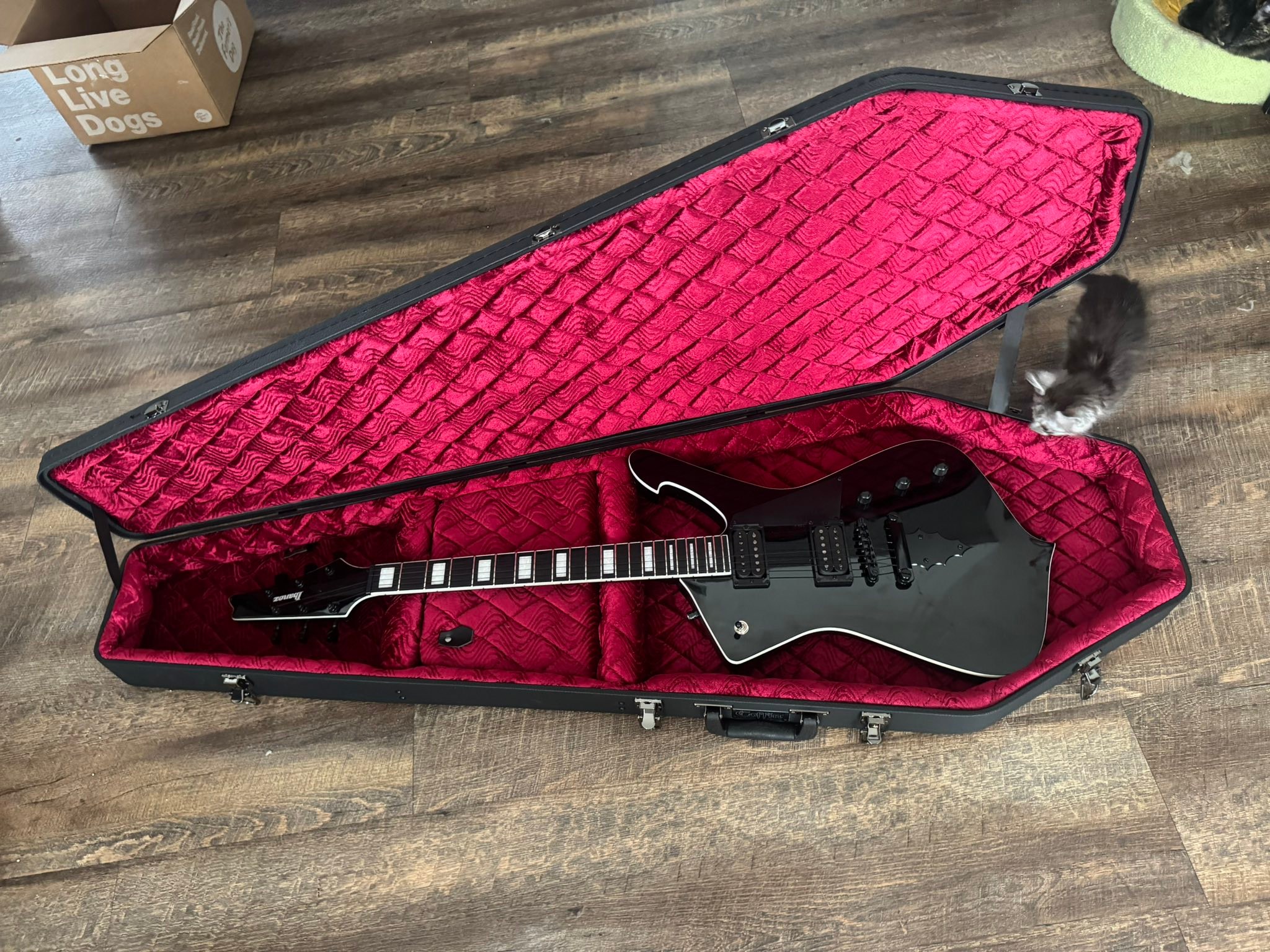 Affordable hardshell case for Ibanez Iceman?