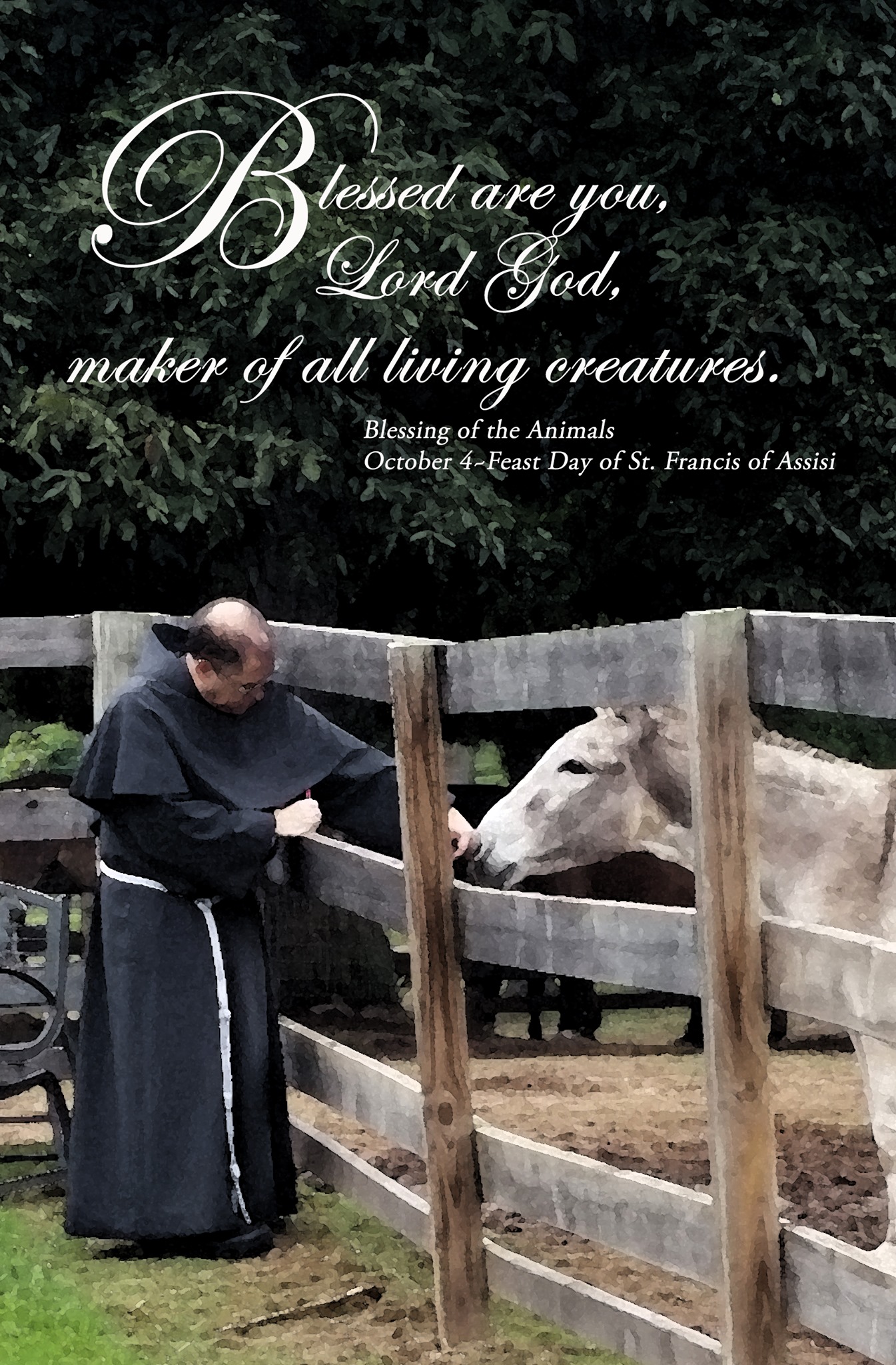 Today we... - Saint Marianne Cope Museum & Gift Shop | Facebook