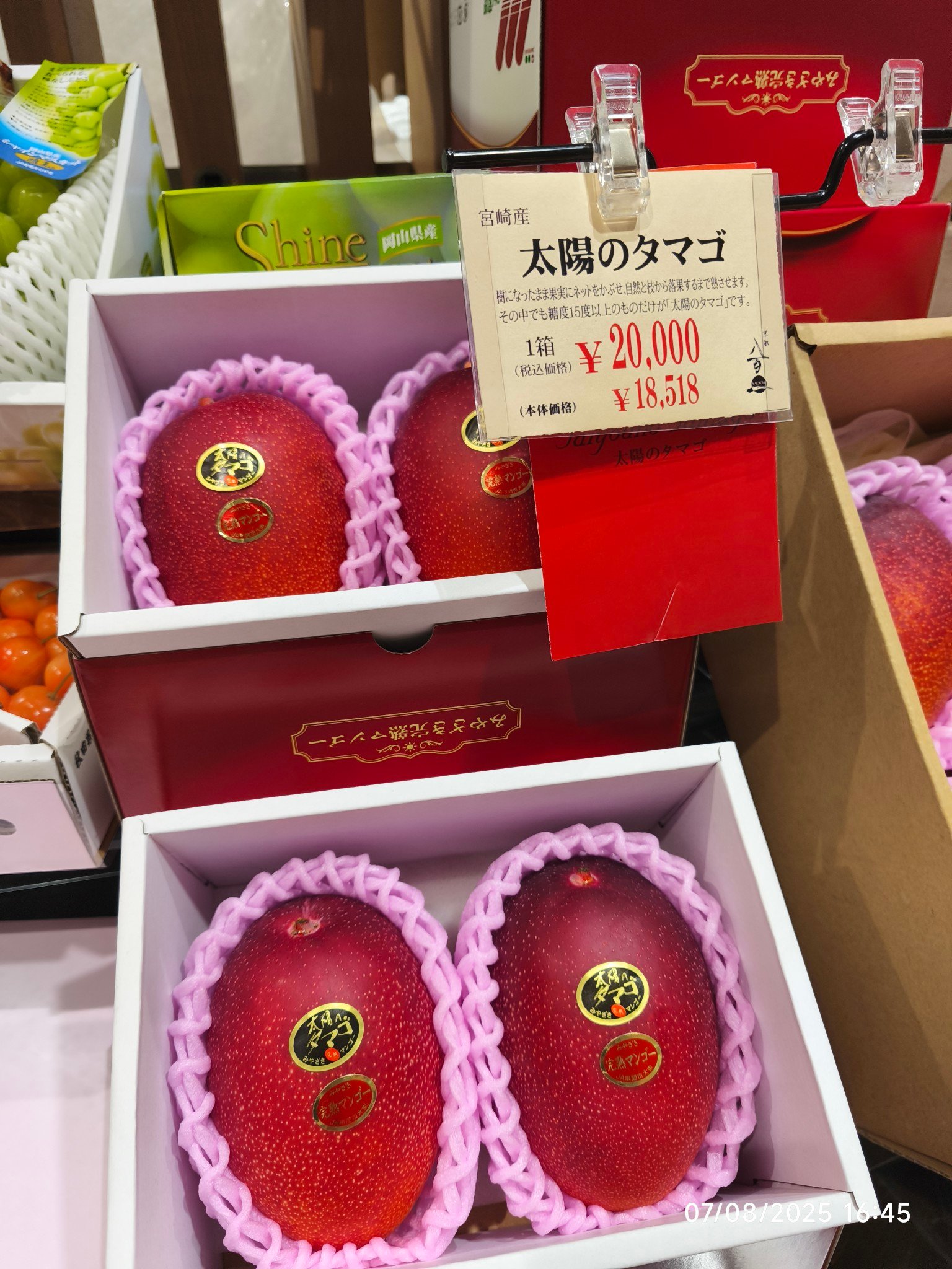 Miyazaki Prefecture mangoes are sweet and expensive. 😱 #mango