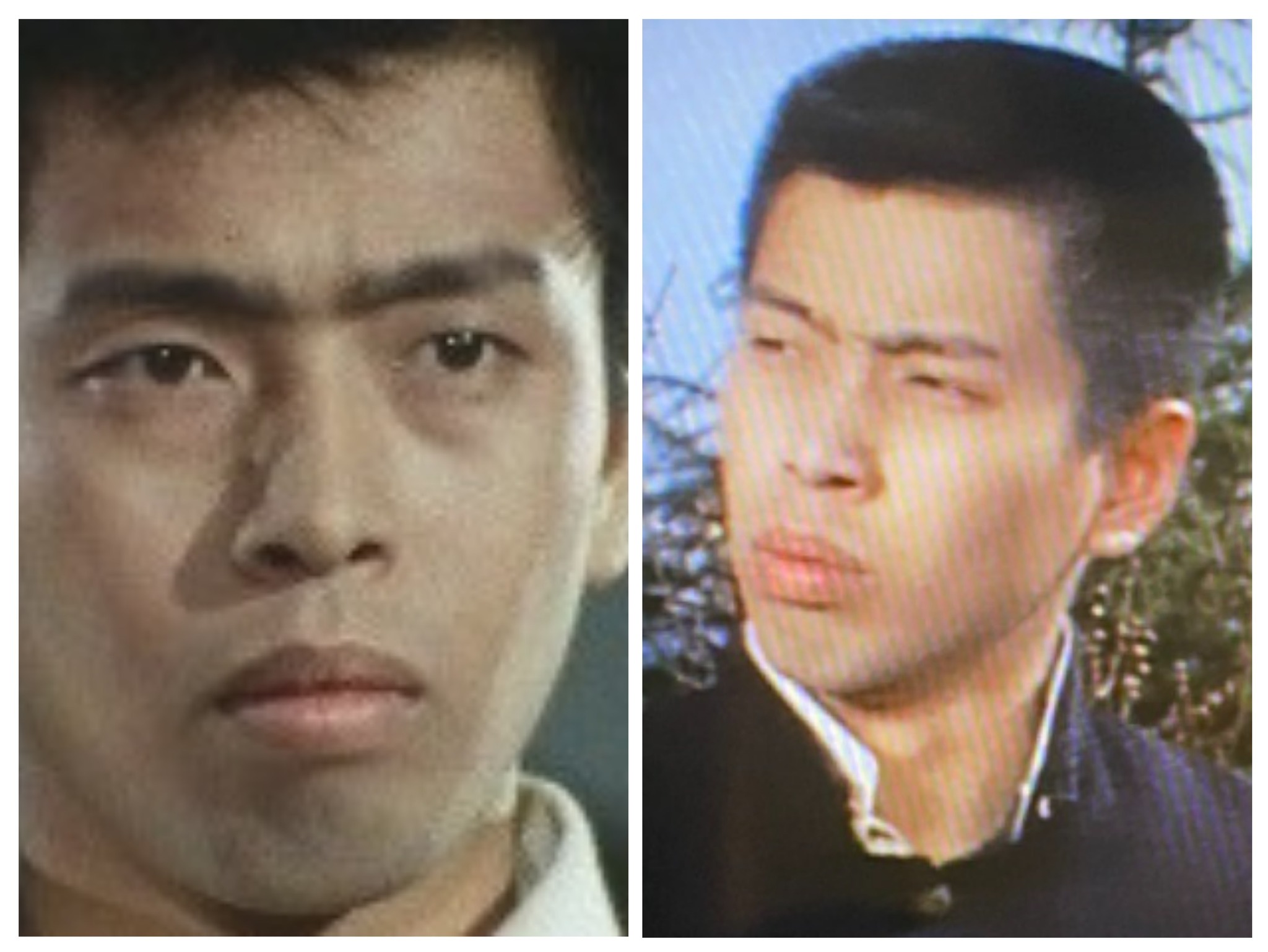 竜雷太 若い頃
