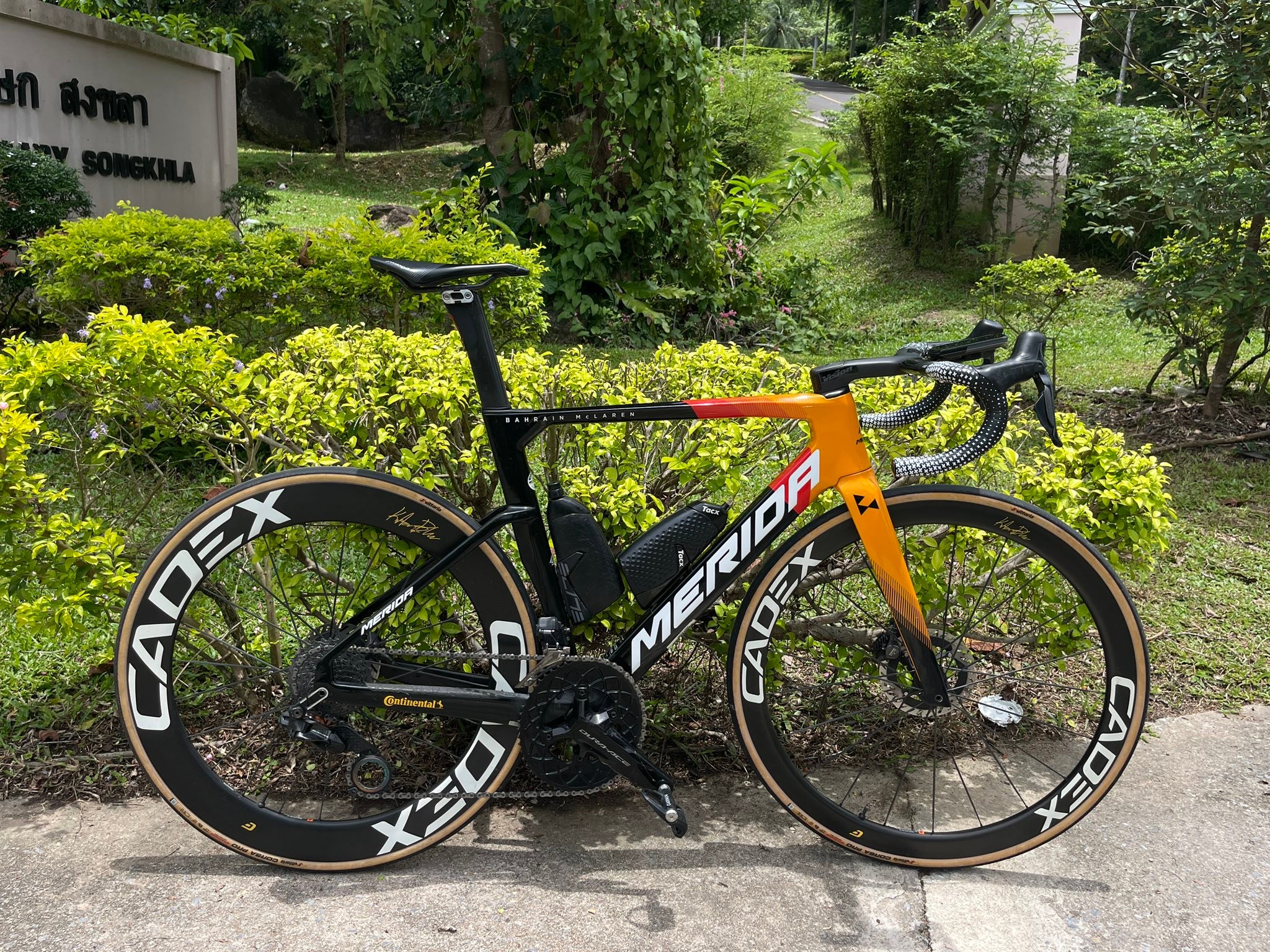 ?️ REACTO cf5 + 140/380 mm Vision metron 5D ACR EVO Handlebar..✨