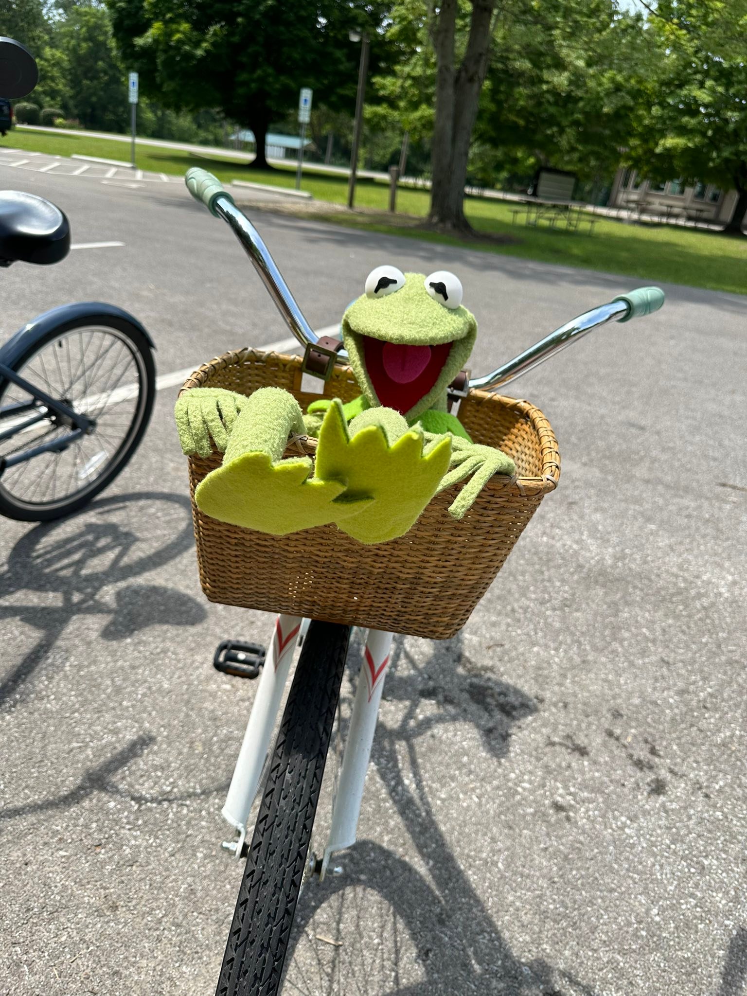 Vintage Kermit made from green Antron fleece