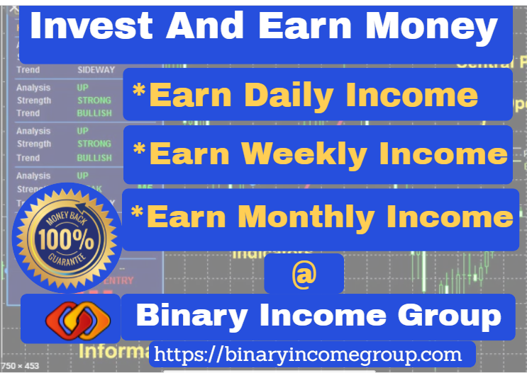 Binary Income Group | Paris