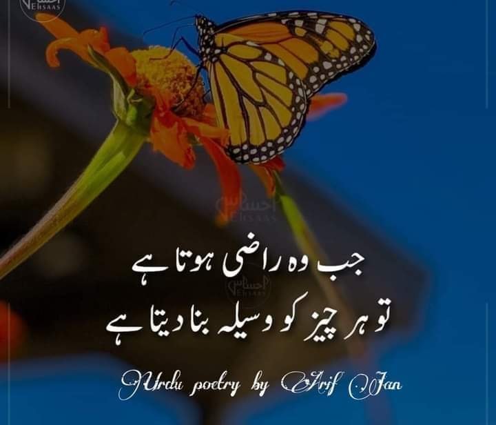 Pyara Karachi | Facebook