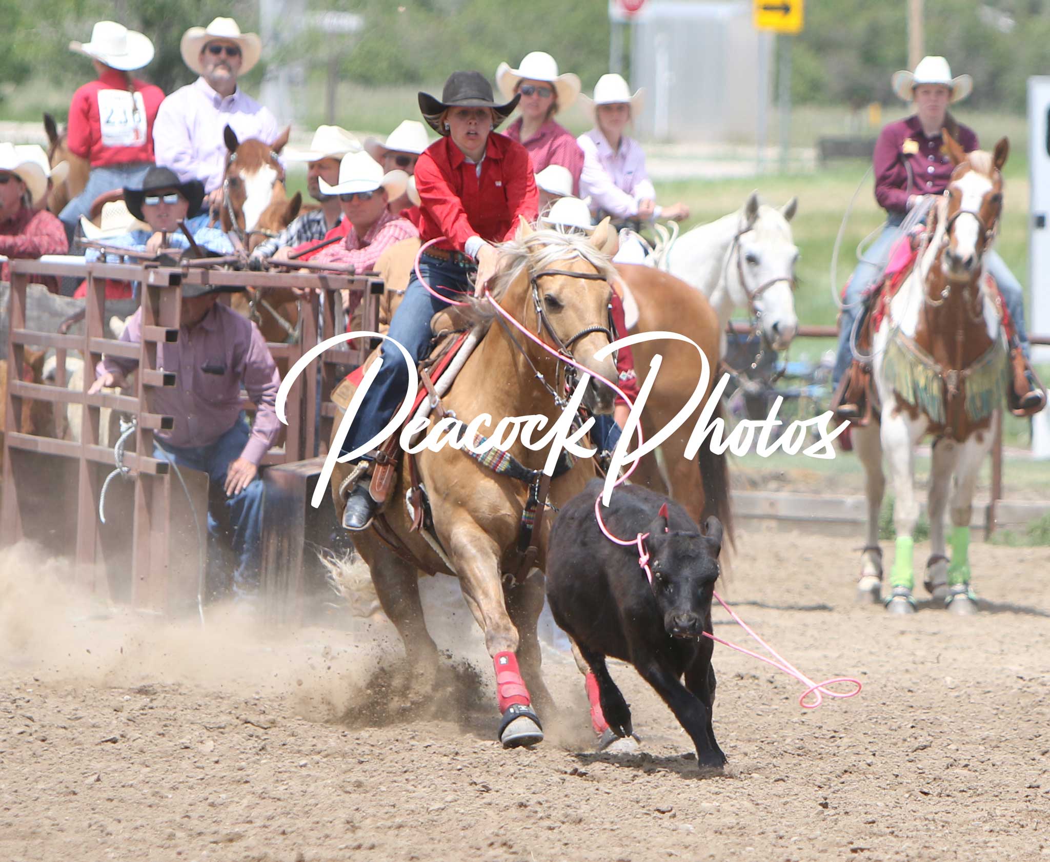 SW Region SD High School Rodeo