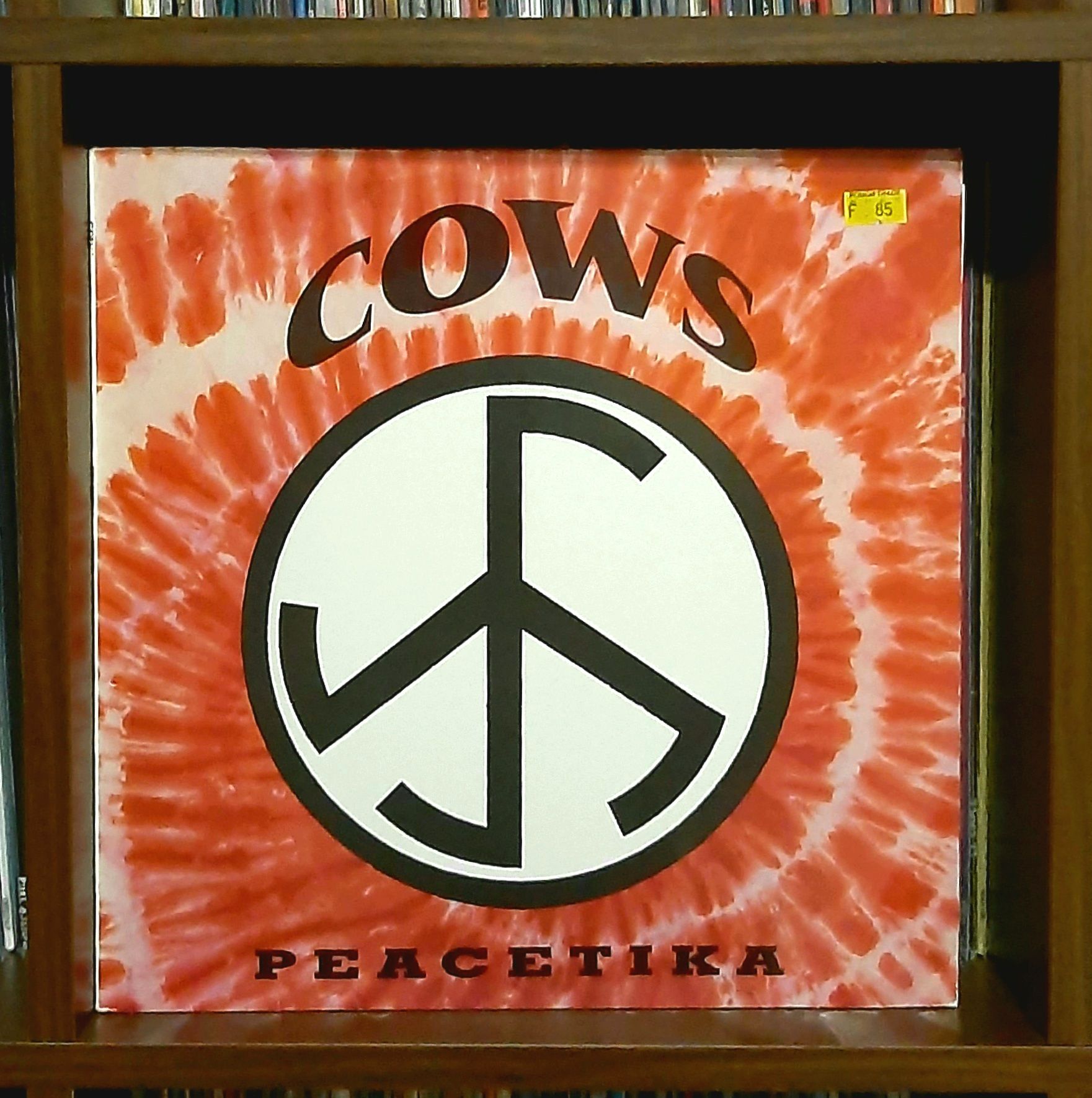 Cows' Peacetika album on Amphetamine Reptile Records