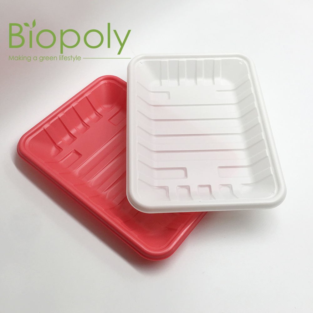 Biopoly | Shanghai