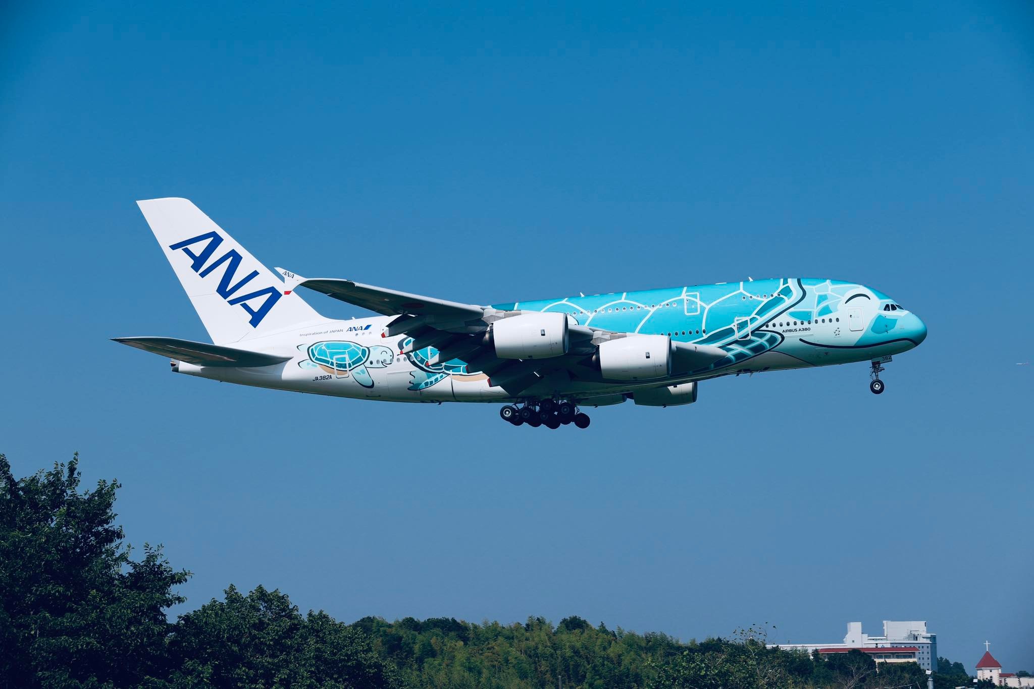 ANA Airbus A380 in blue turtle livery | Narita, Chiba