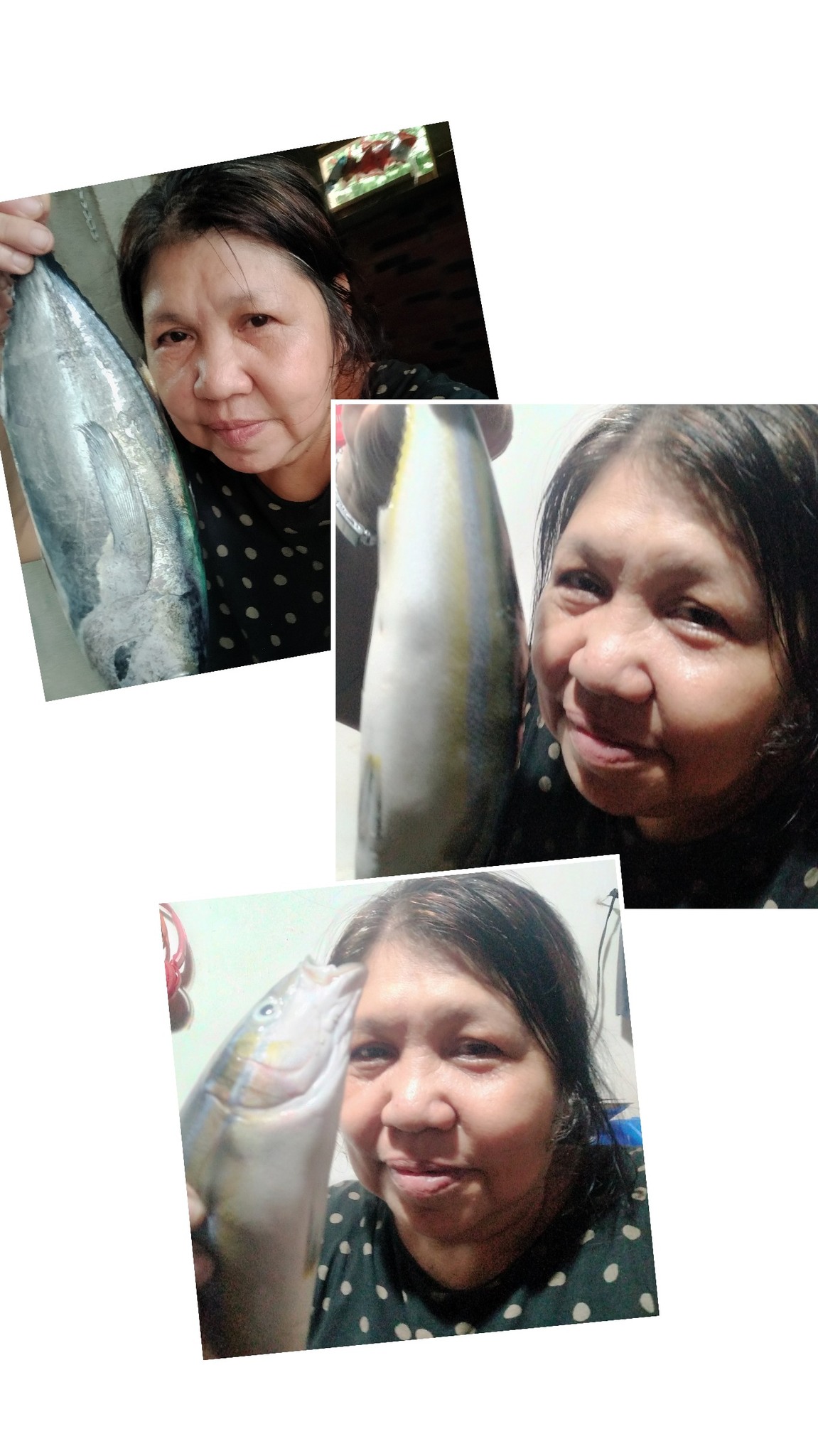 Devc - Magsawa ka ng isda dito ! ganyan mga isda lagi kong nakakaen ...
