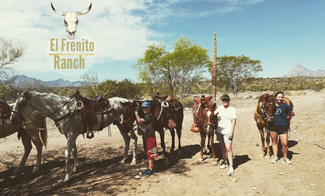 El Frenito Ranch - Horse Back Riding / Paseos a Caballo ☀️🌵 Les ...