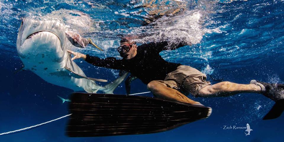 Bryce Rohrer - Captain - Prof Shark Diver