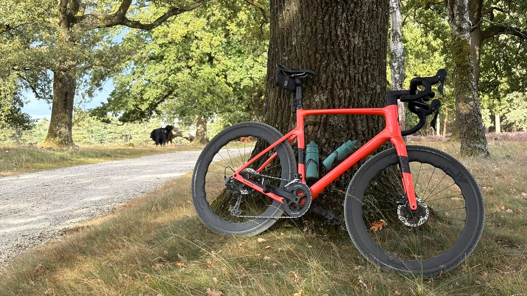 wieviel dichtmilch pro reifen mtb Tubeless für MTB, Road und Gravel Brand_W Republic Apparel Farbe:Middernacht Blauw Cube 2023 Reaction Hybrid