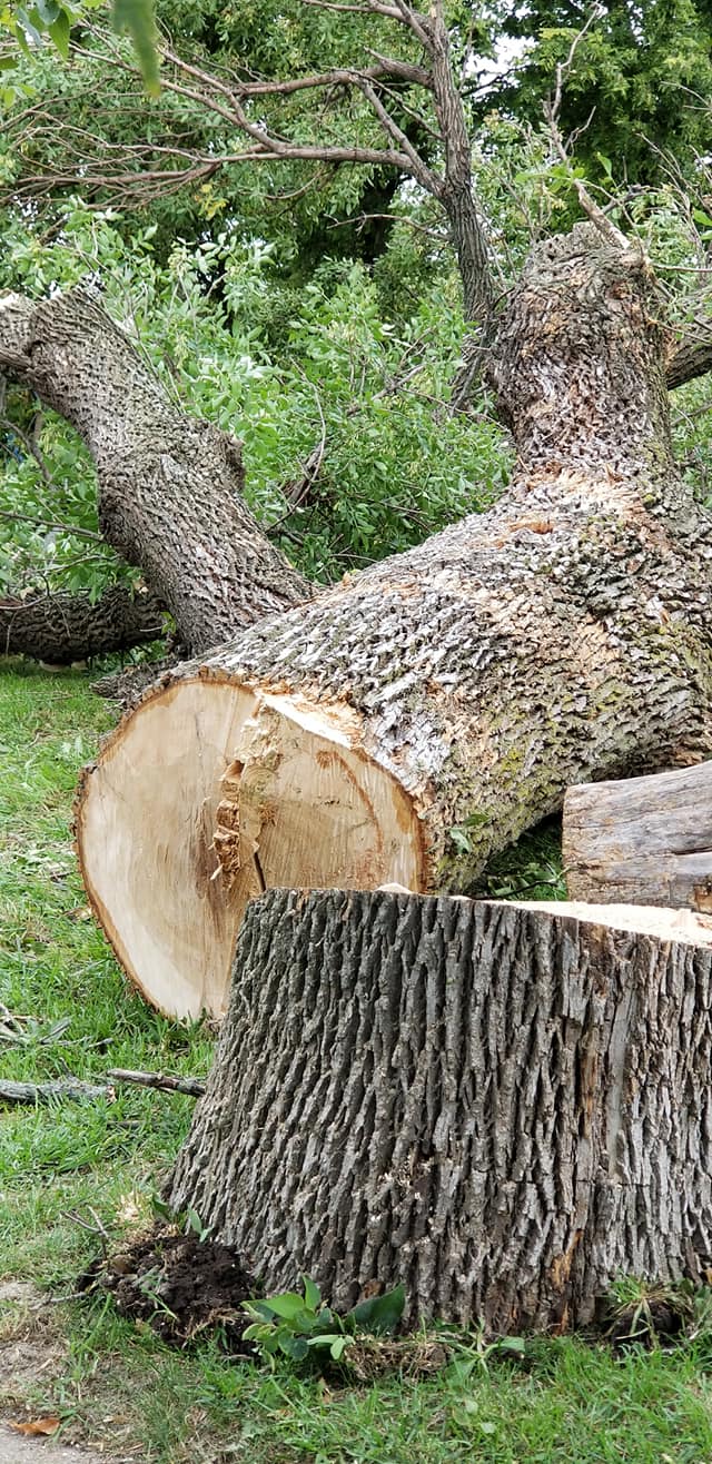 Casteel Tree Service | Lincoln NE