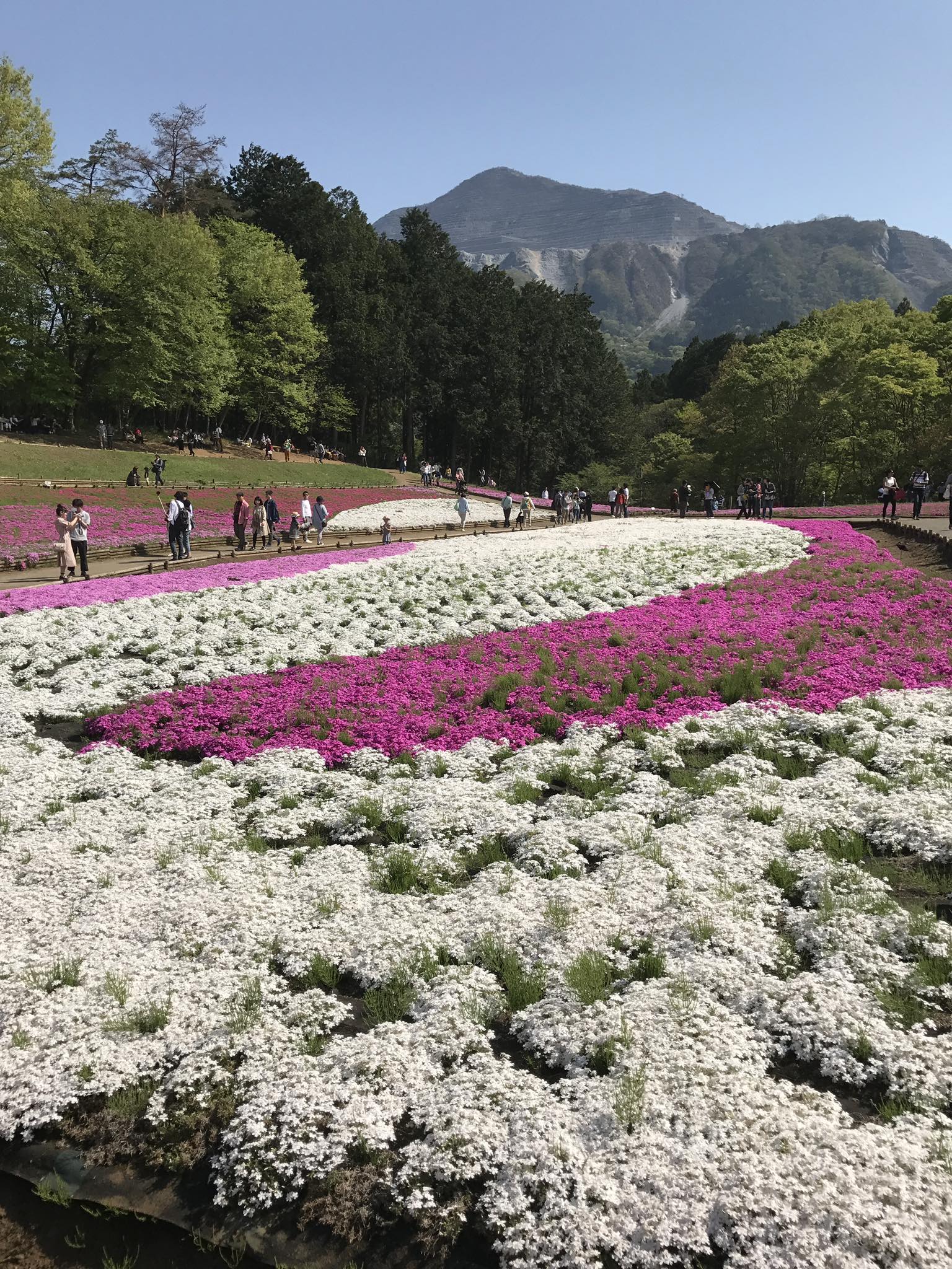 Beautiful Place in Japan🇯🇵