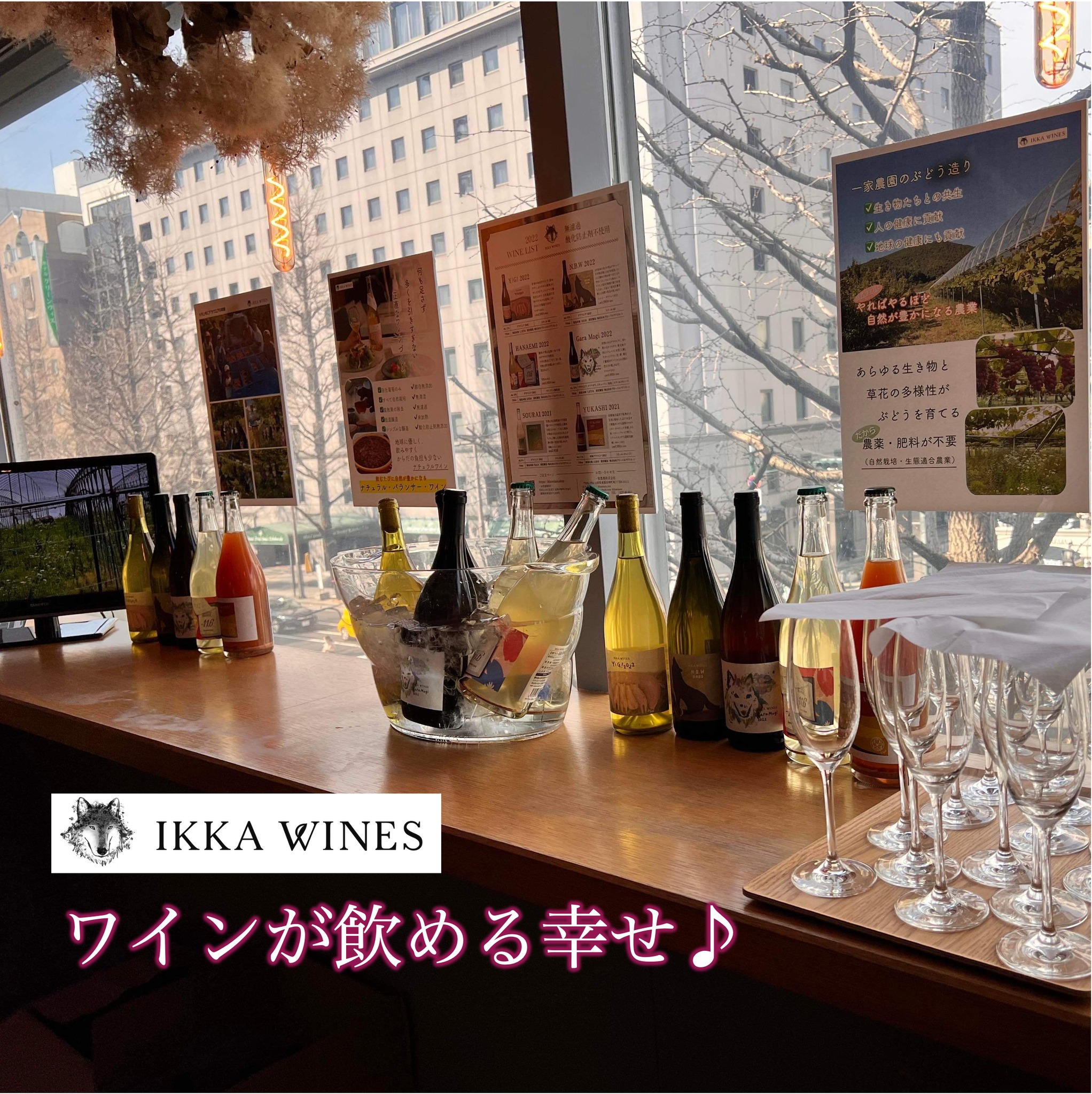 IkkaWines 飲みやすい自然派ワイン (@ikkawines) • Facebook