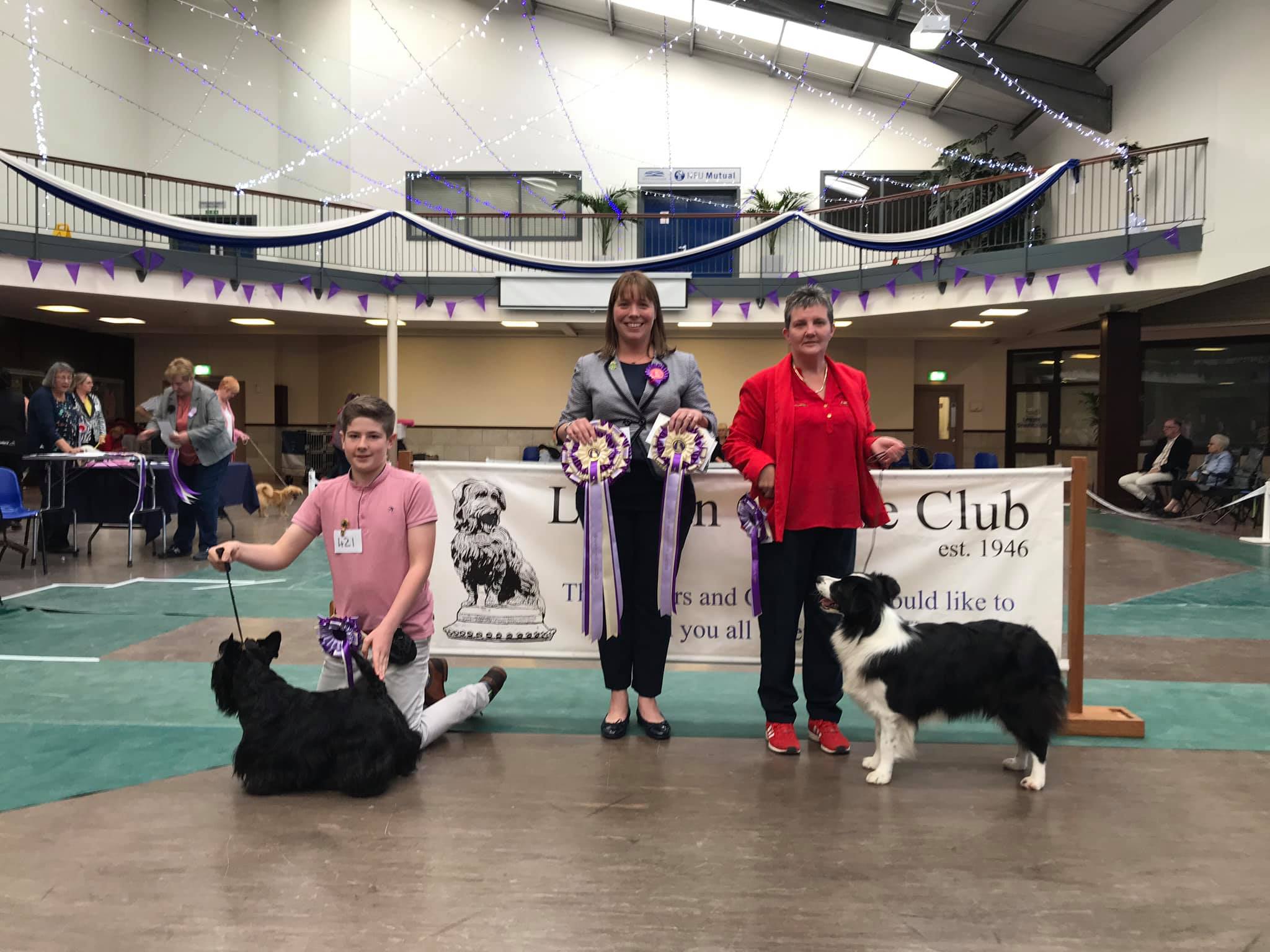 1st To 3rd X10 best in show reserve judge steward 34 rosettes dog show