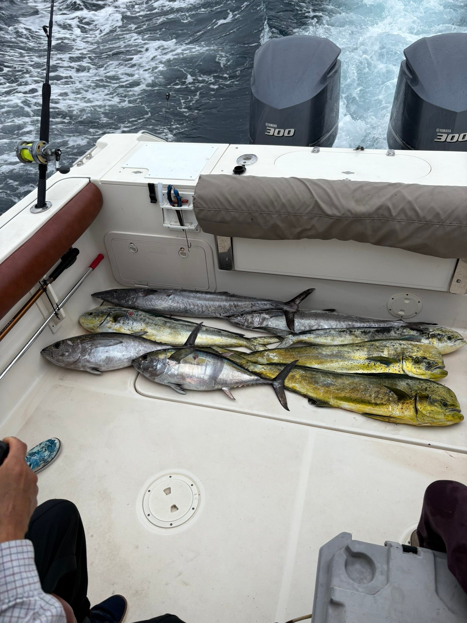 dip net for pier fishing Style:BANTAM151XGA shields Luhr-Jensen South Bend 80th free fishing experience